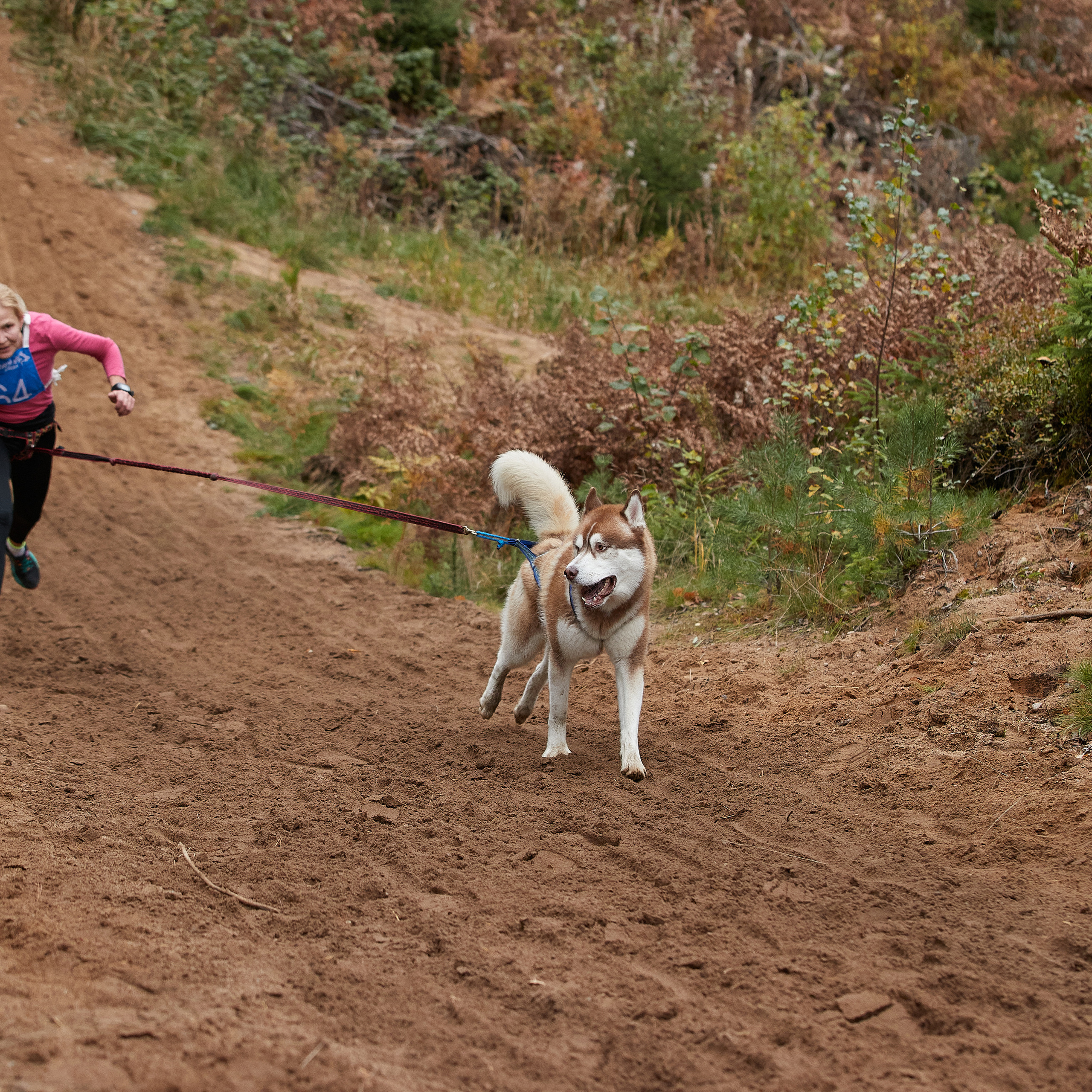 ЧЕМПИОНАТ РОССИИ РКФ 25–26 сентября 2021 г. ФОТОГРАФ-АНИМАЛИСТ l LANA POLYAKOVA
