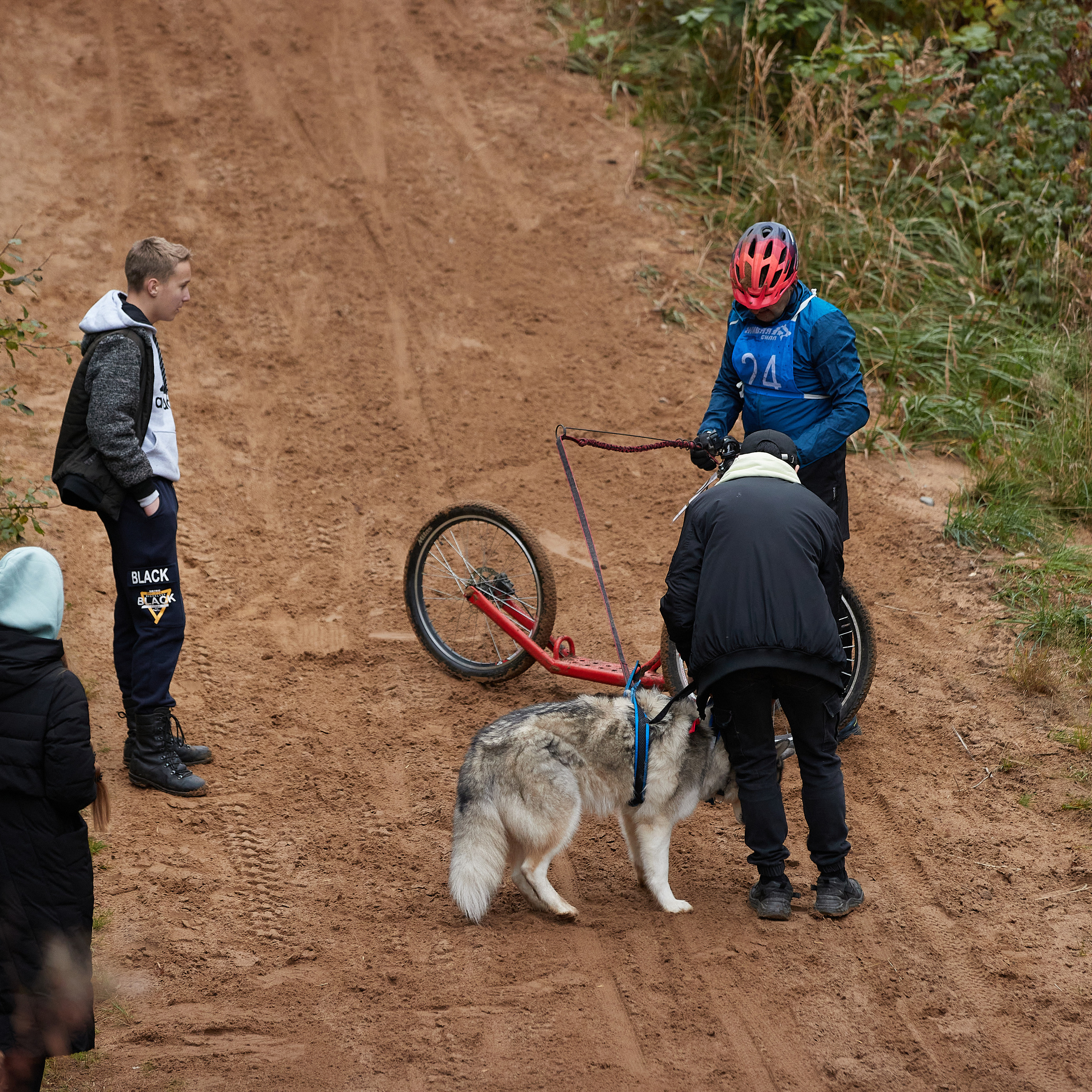 ЧЕМПИОНАТ РОССИИ РКФ 25–26 сентября 2021 г. ФОТОГРАФ-АНИМАЛИСТ l LANA POLYAKOVA