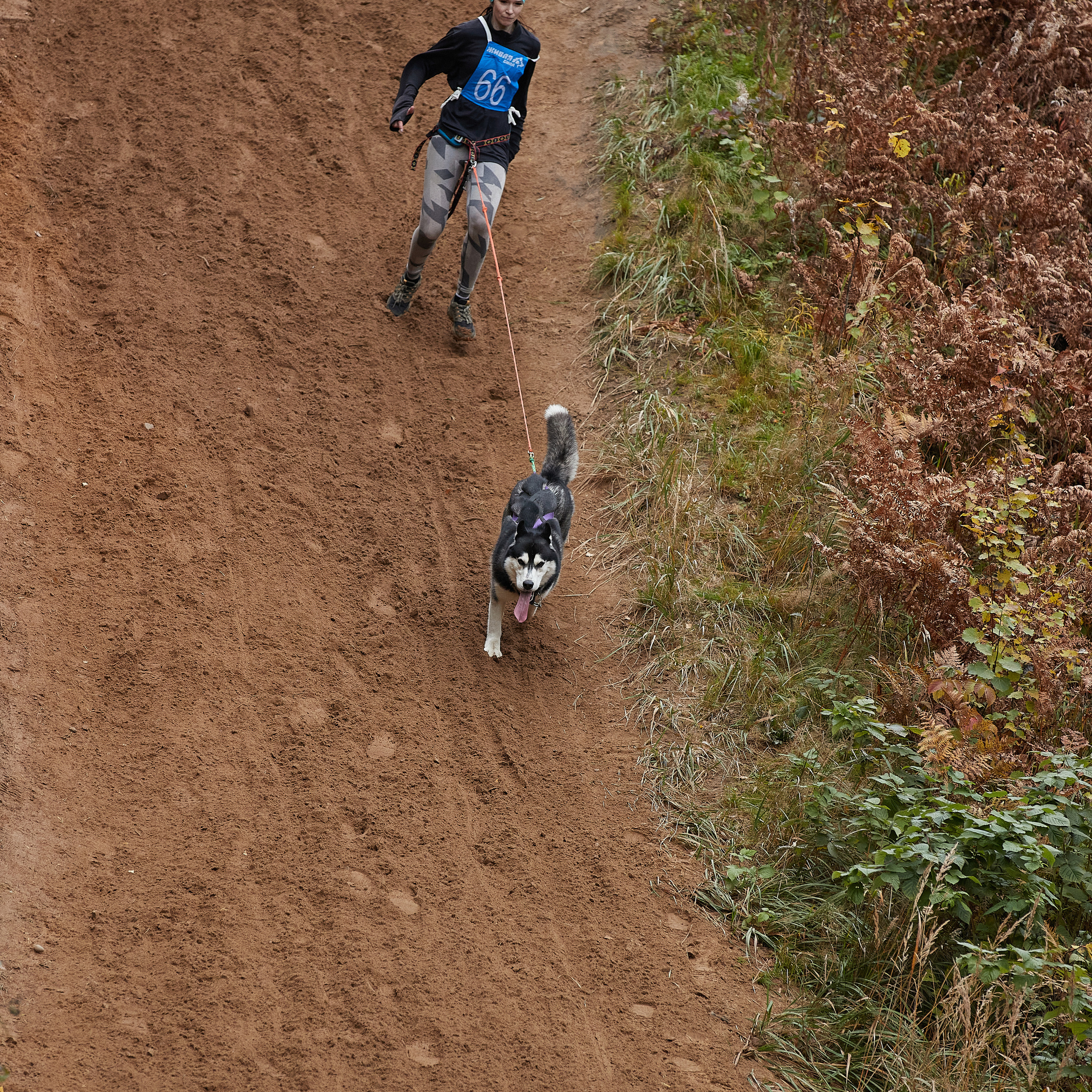 ЧЕМПИОНАТ РОССИИ РКФ 25–26 сентября 2021 г. ФОТОГРАФ-АНИМАЛИСТ l LANA POLYAKOVA