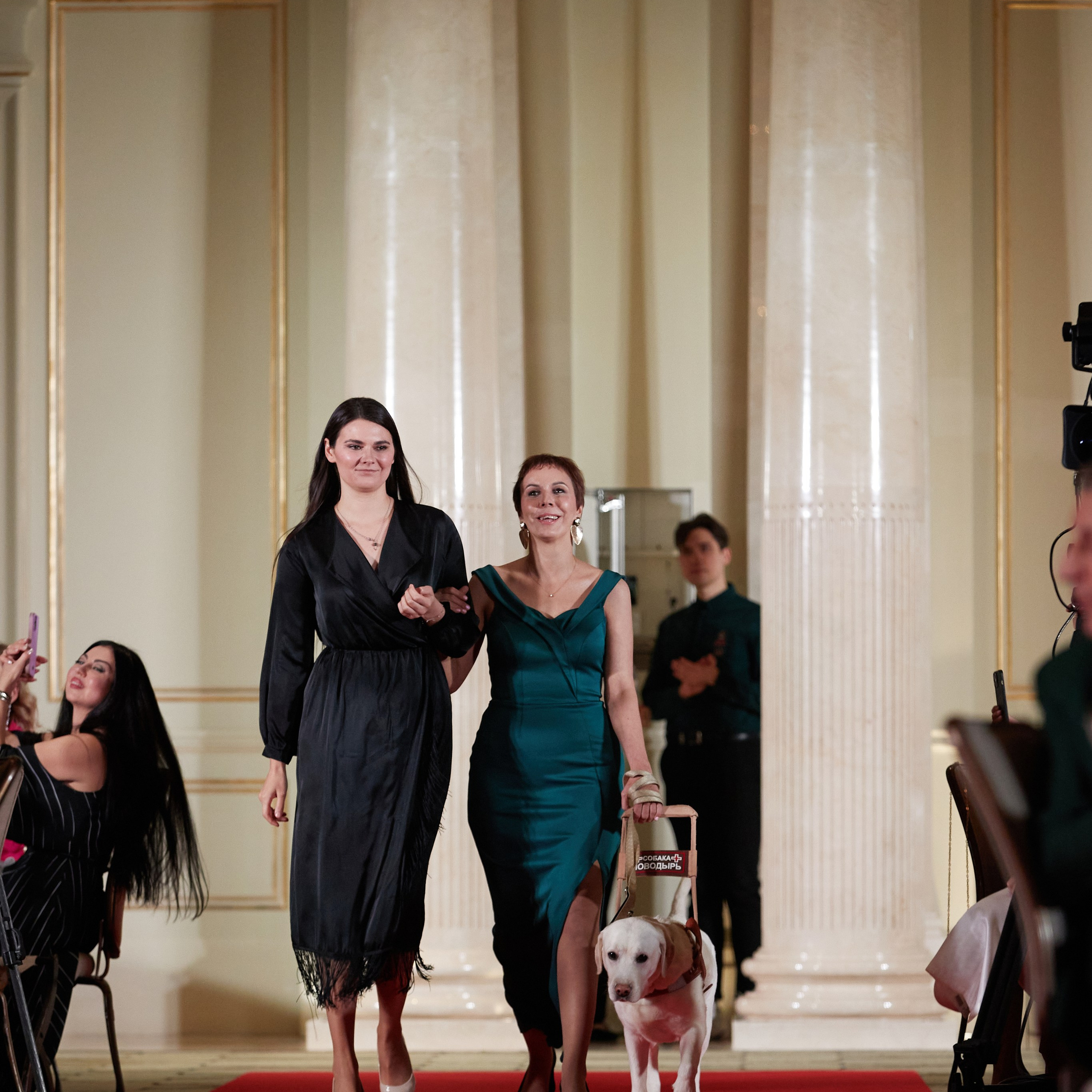 Репортаж с церемонии «BEST RUSSIAN DOG 2023». ФОТОГРАФ-АНИМАЛИСТ l LANA POLYAKOVA