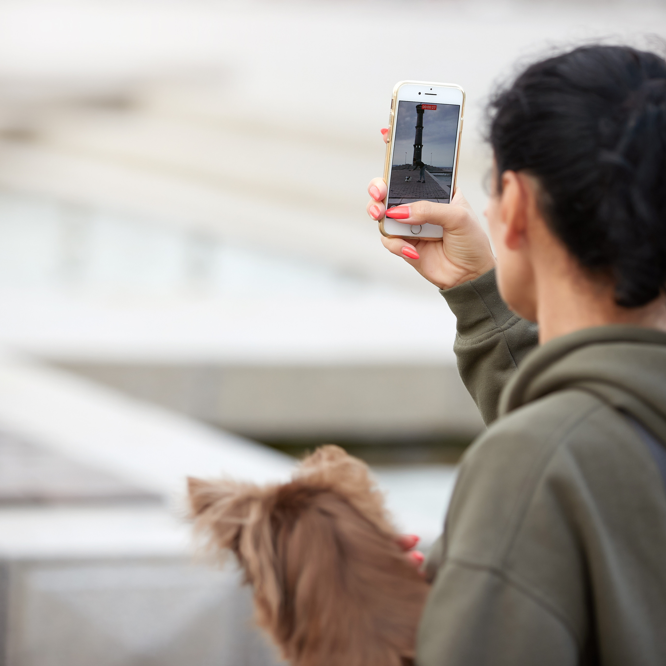 Ярик и компания. Фотопрогулка чихуа. ФОТОГРАФ-АНИМАЛИСТ l LANA POLYAKOVA
