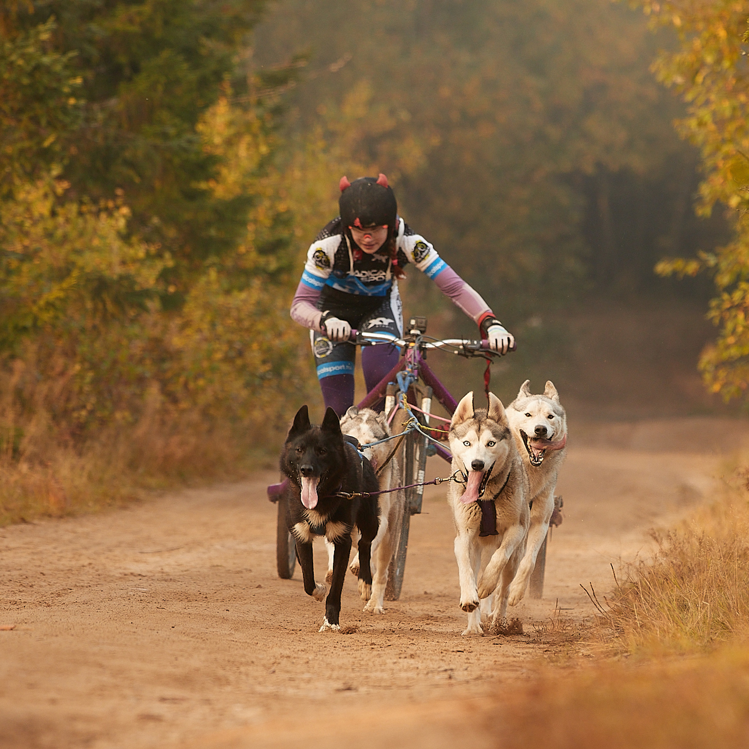ЧЕМПИОНАТ РОССИИ РКФ 27 сентября 2020 г., 2й день. ФОТОГРАФ-АНИМАЛИСТ l LANA POLYAKOVA