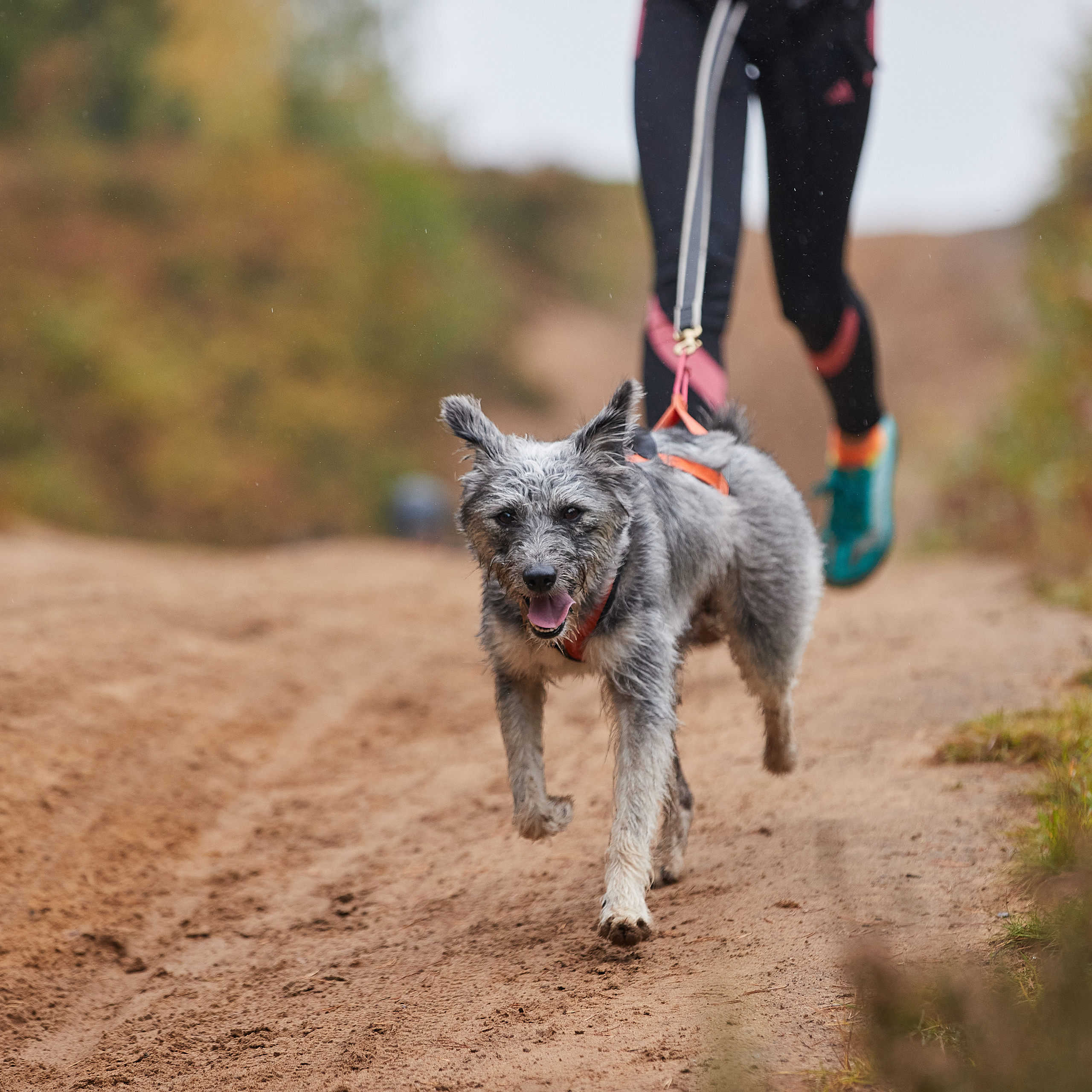 ЧЕМПИОНАТ РОССИИ РКФ 25–26 сентября 2021 г. ФОТОГРАФ-АНИМАЛИСТ l LANA POLYAKOVA