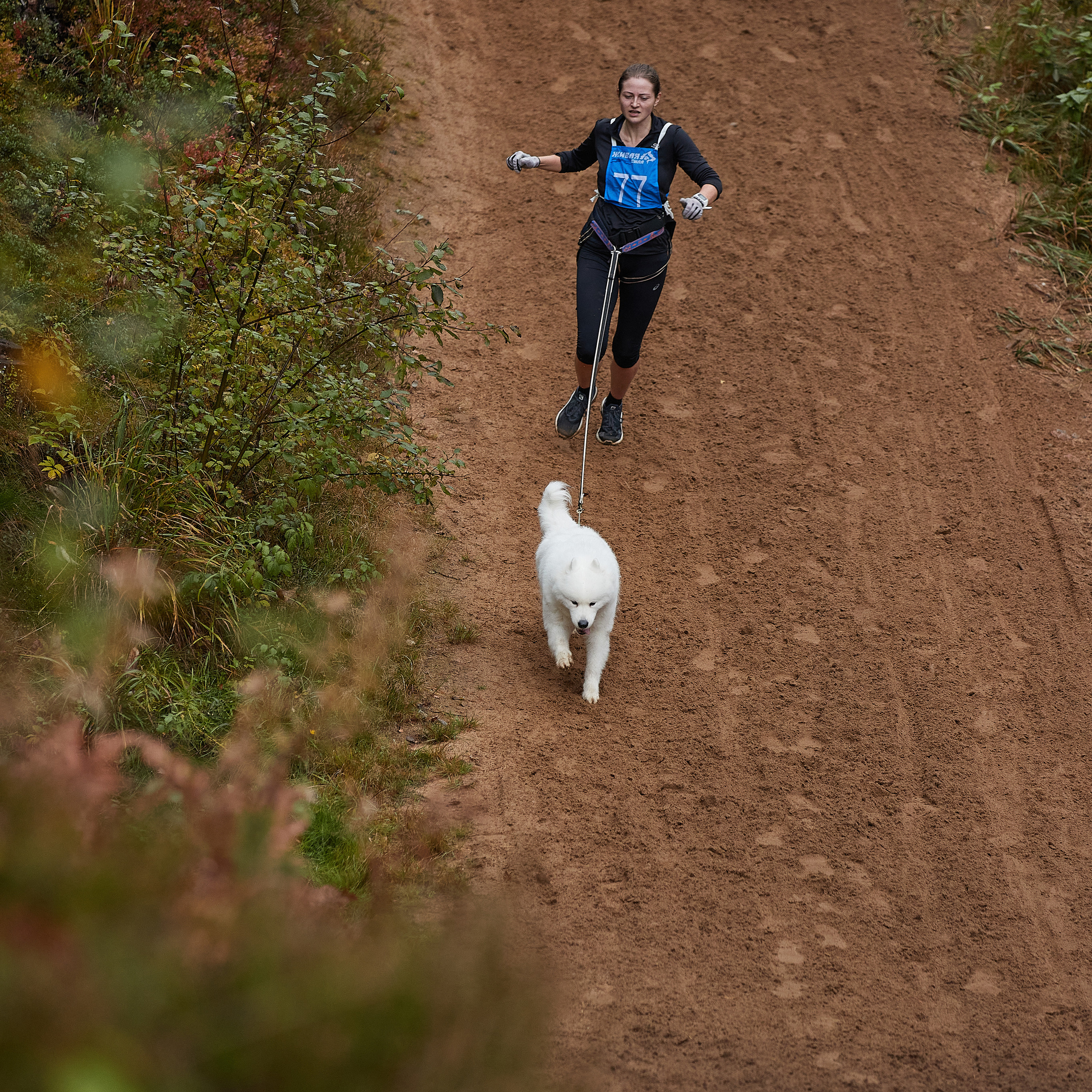 ЧЕМПИОНАТ РОССИИ РКФ 25–26 сентября 2021 г. ФОТОГРАФ-АНИМАЛИСТ l LANA POLYAKOVA