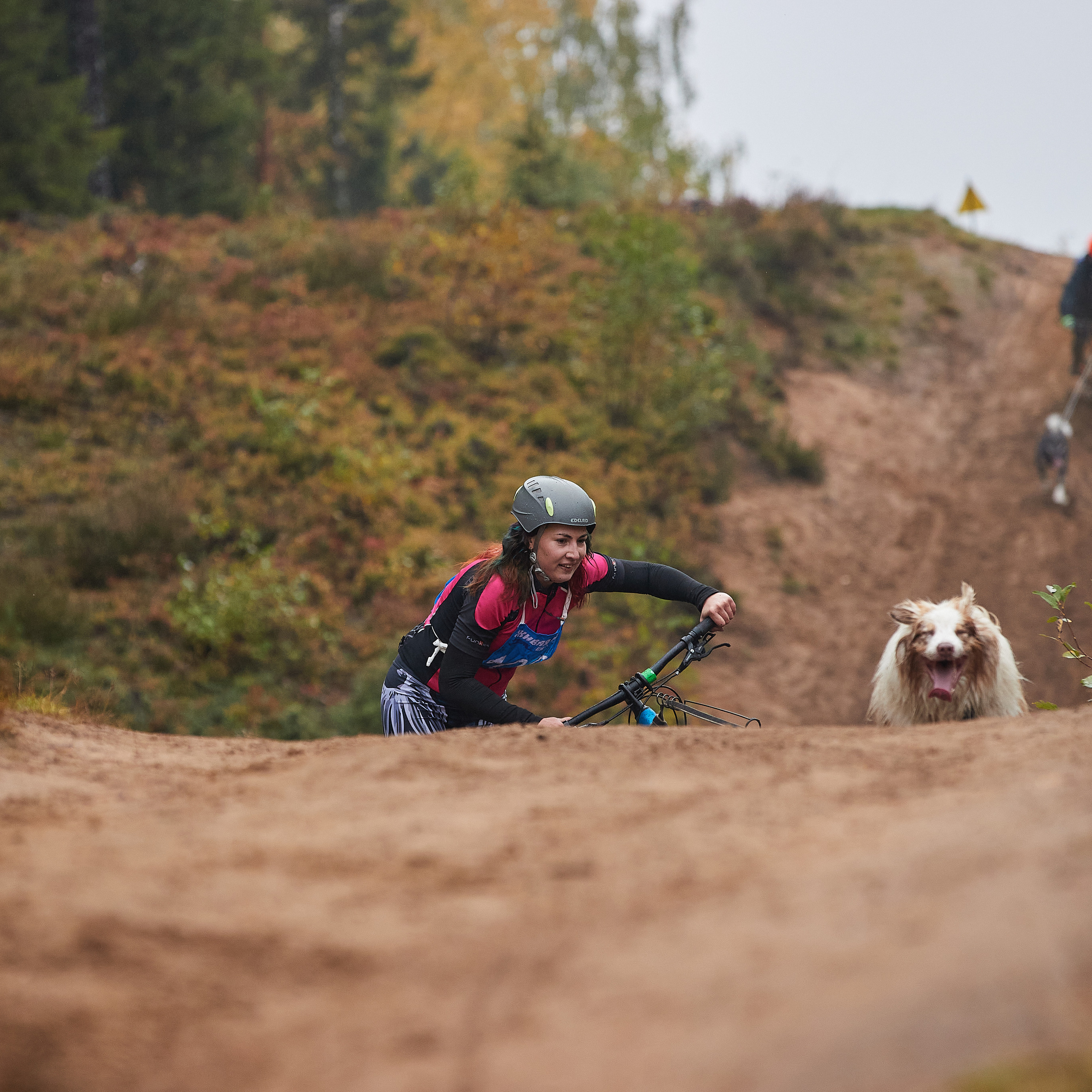 ЧЕМПИОНАТ РОССИИ РКФ 25–26 сентября 2021 г. ФОТОГРАФ-АНИМАЛИСТ l LANA POLYAKOVA