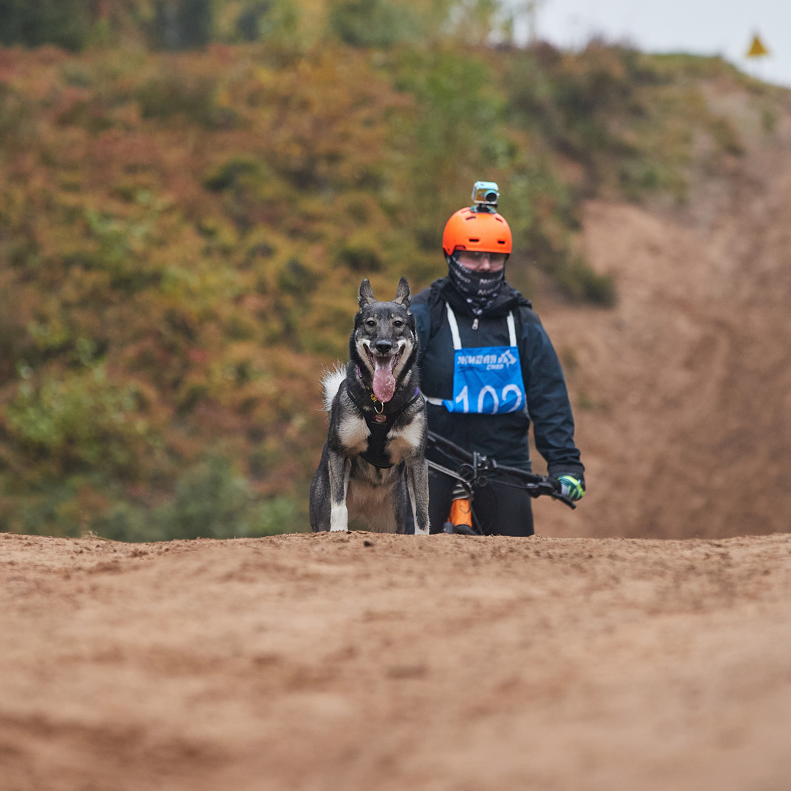 ЧЕМПИОНАТ РОССИИ РКФ 25–26 сентября 2021 г. ФОТОГРАФ-АНИМАЛИСТ l LANA POLYAKOVA