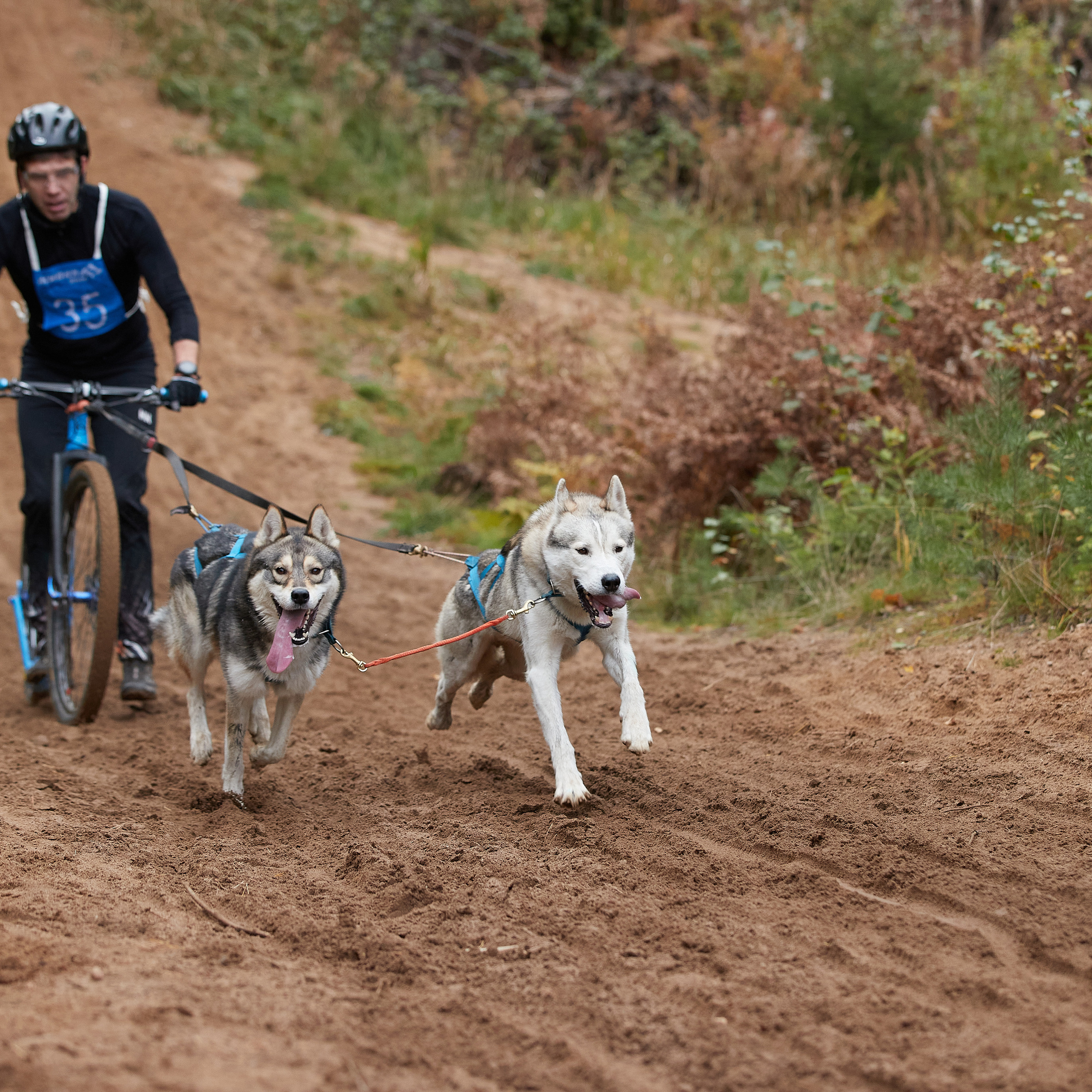 ЧЕМПИОНАТ РОССИИ РКФ 25–26 сентября 2021 г. ФОТОГРАФ-АНИМАЛИСТ l LANA POLYAKOVA
