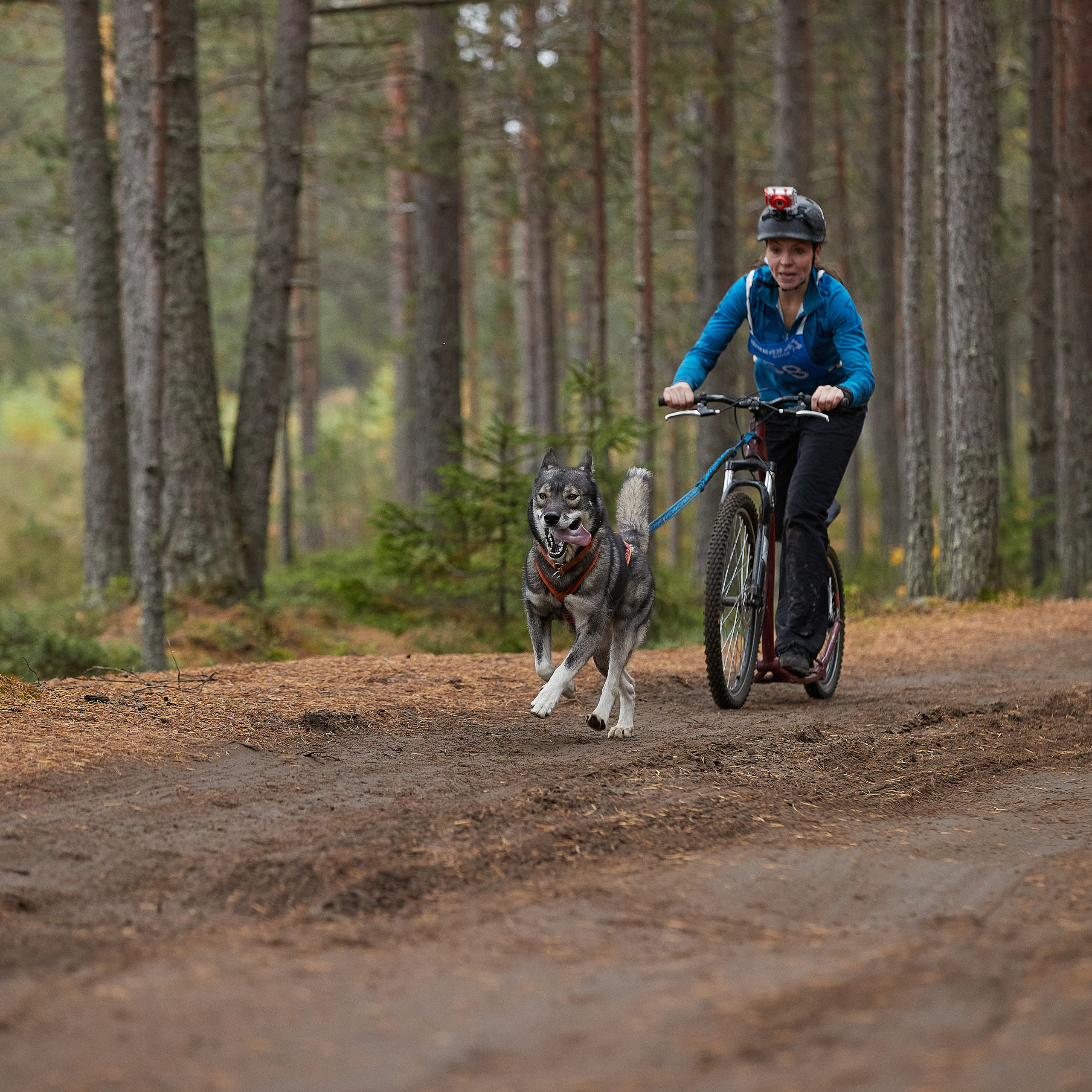ЧЕМПИОНАТ РОССИИ РКФ 25–26 сентября 2021 г. ФОТОГРАФ-АНИМАЛИСТ l LANA POLYAKOVA