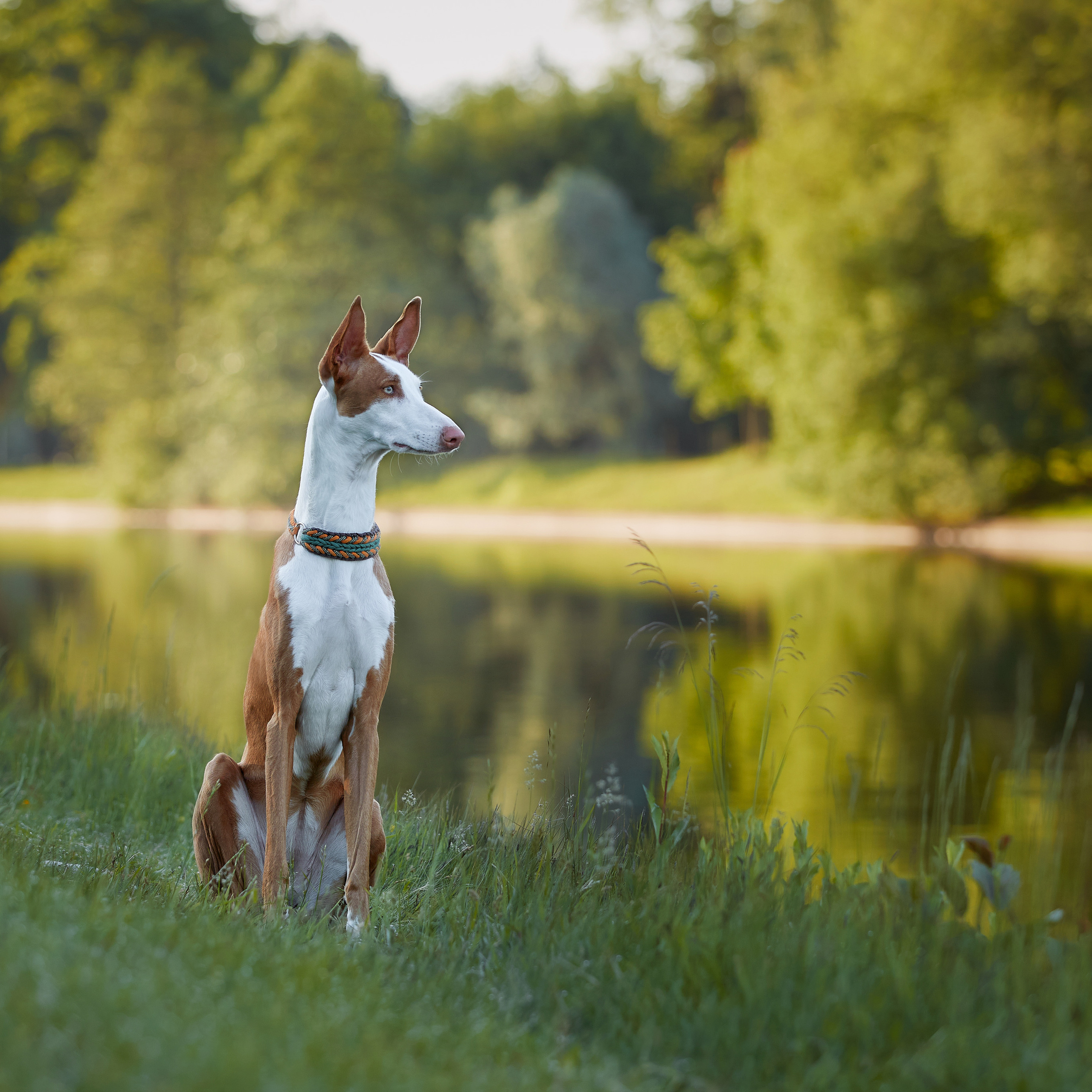 Фотопрогулка для Найроби. ФОТОГРАФ-АНИМАЛИСТ l LANA POLYAKOVA