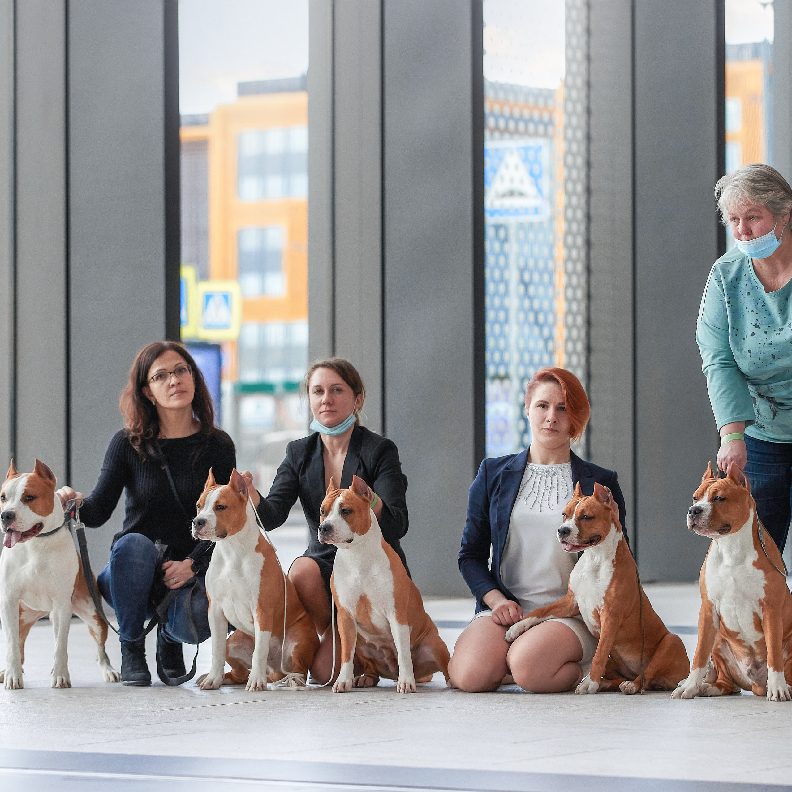 24-25.04.21 CACIB в Санкт-Петербурге. ФОТОГРАФ-АНИМАЛИСТ l LANA POLYAKOVA