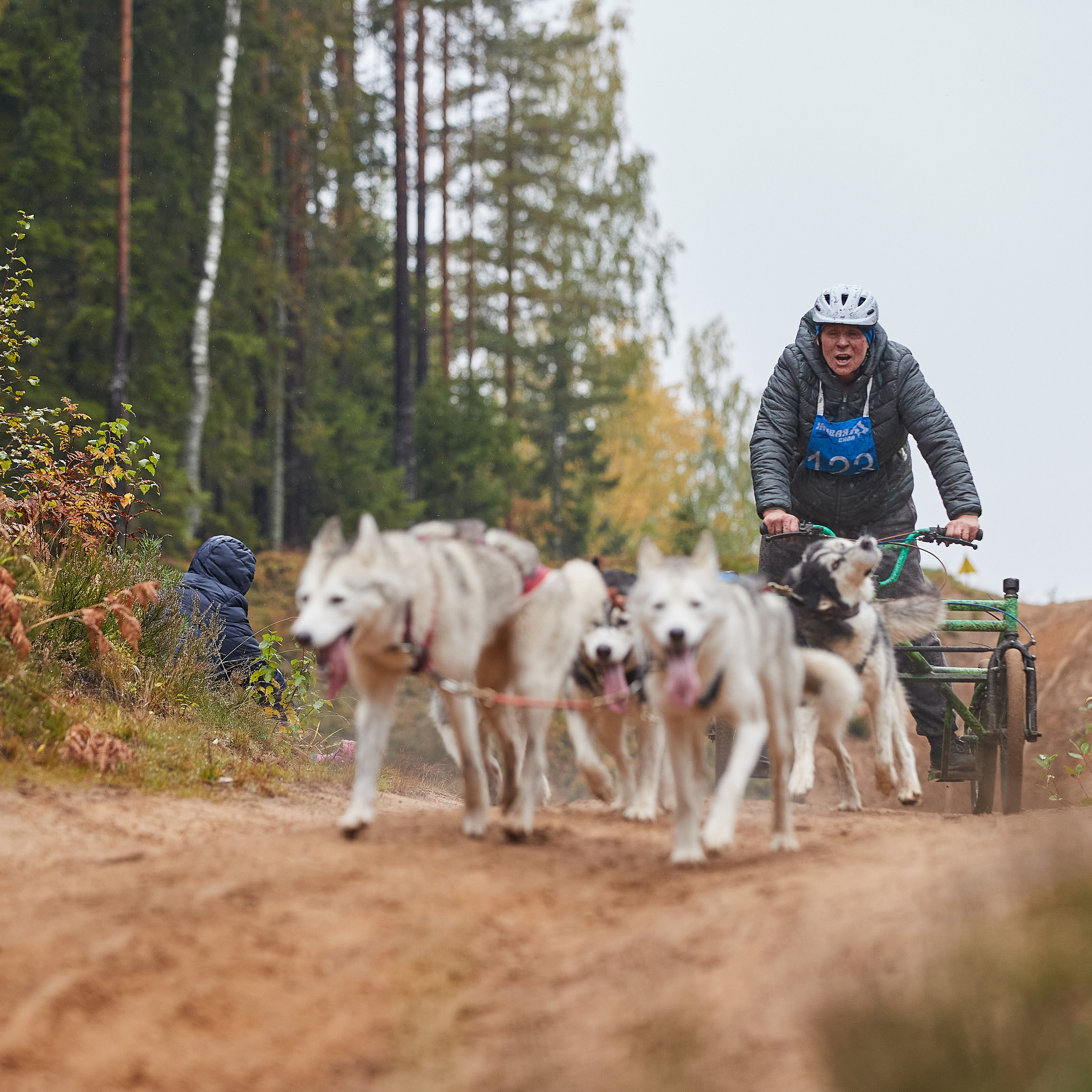 ЧЕМПИОНАТ РОССИИ РКФ 25–26 сентября 2021 г. ФОТОГРАФ-АНИМАЛИСТ l LANA POLYAKOVA