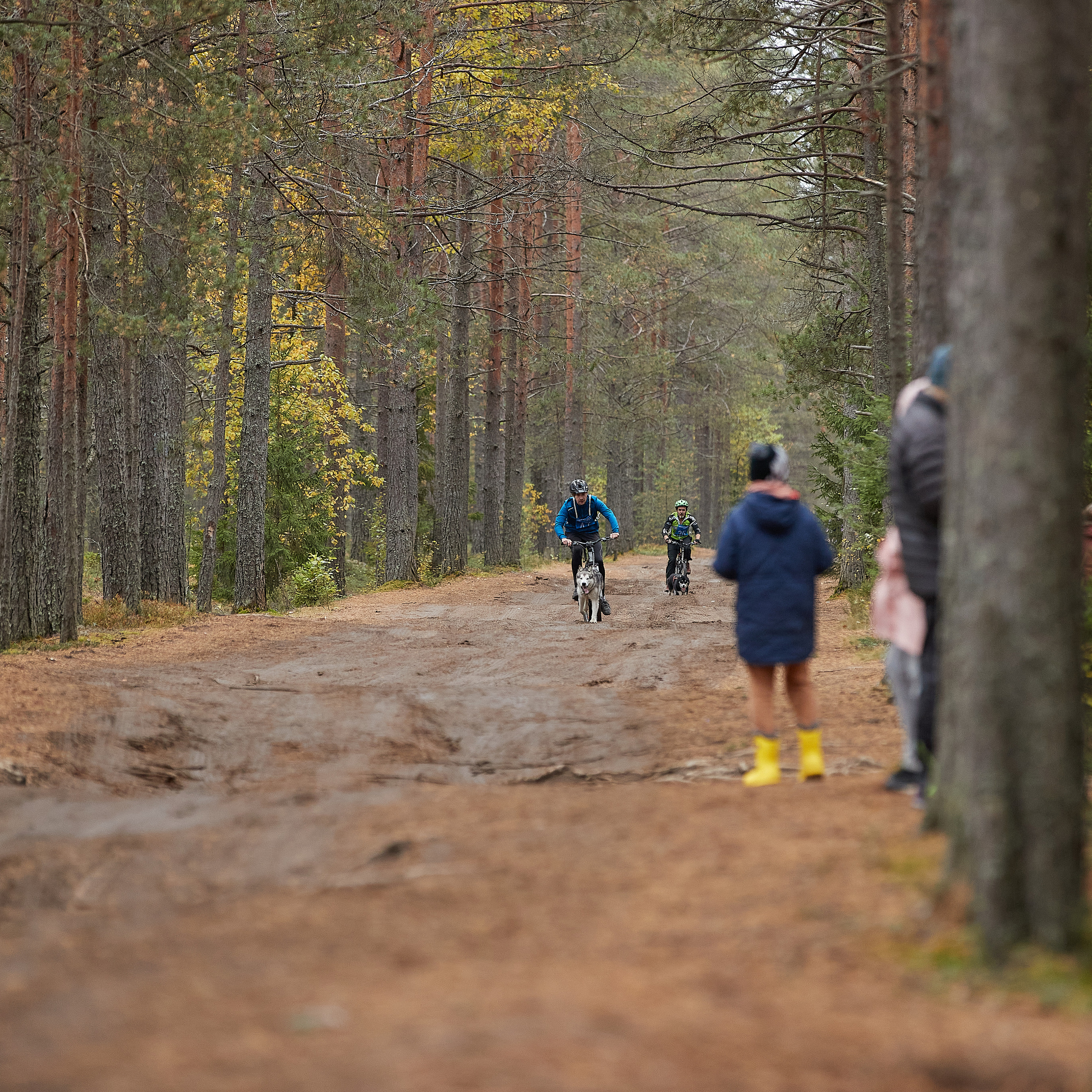 ЧЕМПИОНАТ РОССИИ РКФ 25–26 сентября 2021 г. ФОТОГРАФ-АНИМАЛИСТ l LANA POLYAKOVA