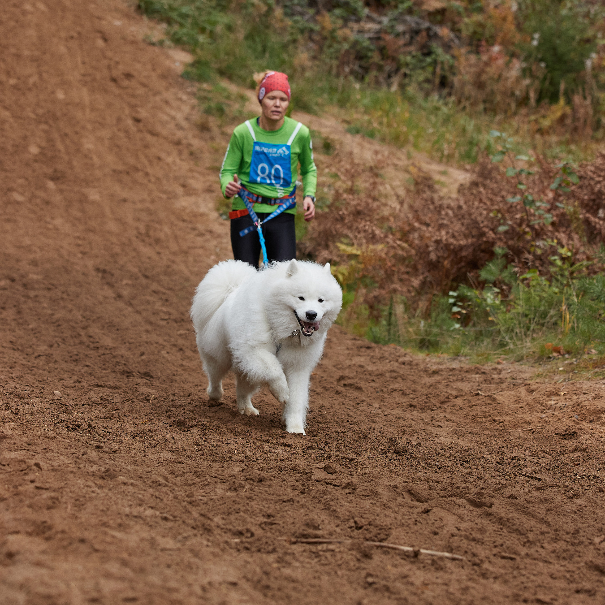 ЧЕМПИОНАТ РОССИИ РКФ 25–26 сентября 2021 г. ФОТОГРАФ-АНИМАЛИСТ l LANA POLYAKOVA