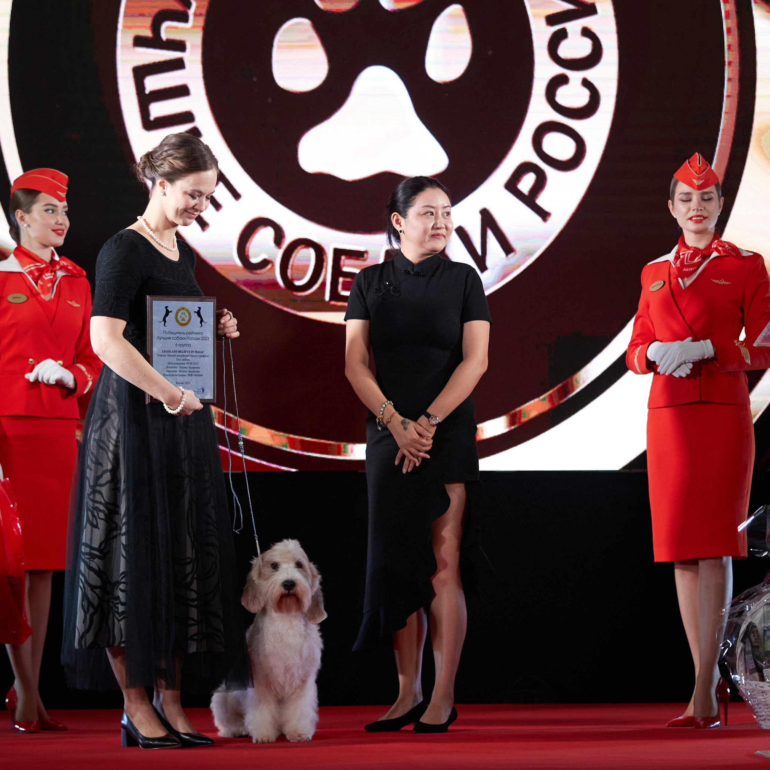 Репортаж с церемонии «BEST RUSSIAN DOG 2023». ФОТОГРАФ-АНИМАЛИСТ l LANA POLYAKOVA