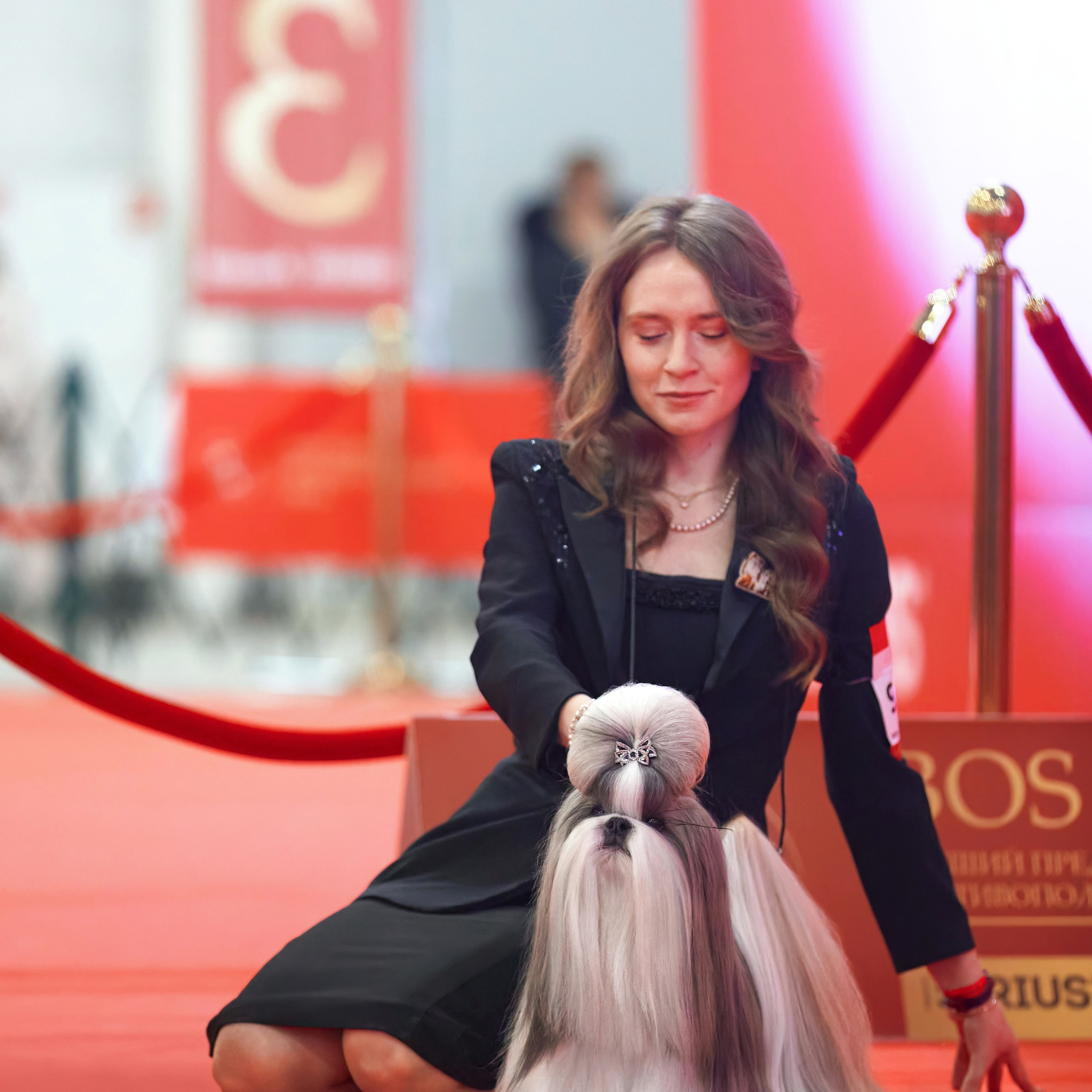 Шоу чемпионов «ЛУЧШИЕ СОБАКИ РОССИИ». ФОТОГРАФ-АНИМАЛИСТ l LANA POLYAKOVA