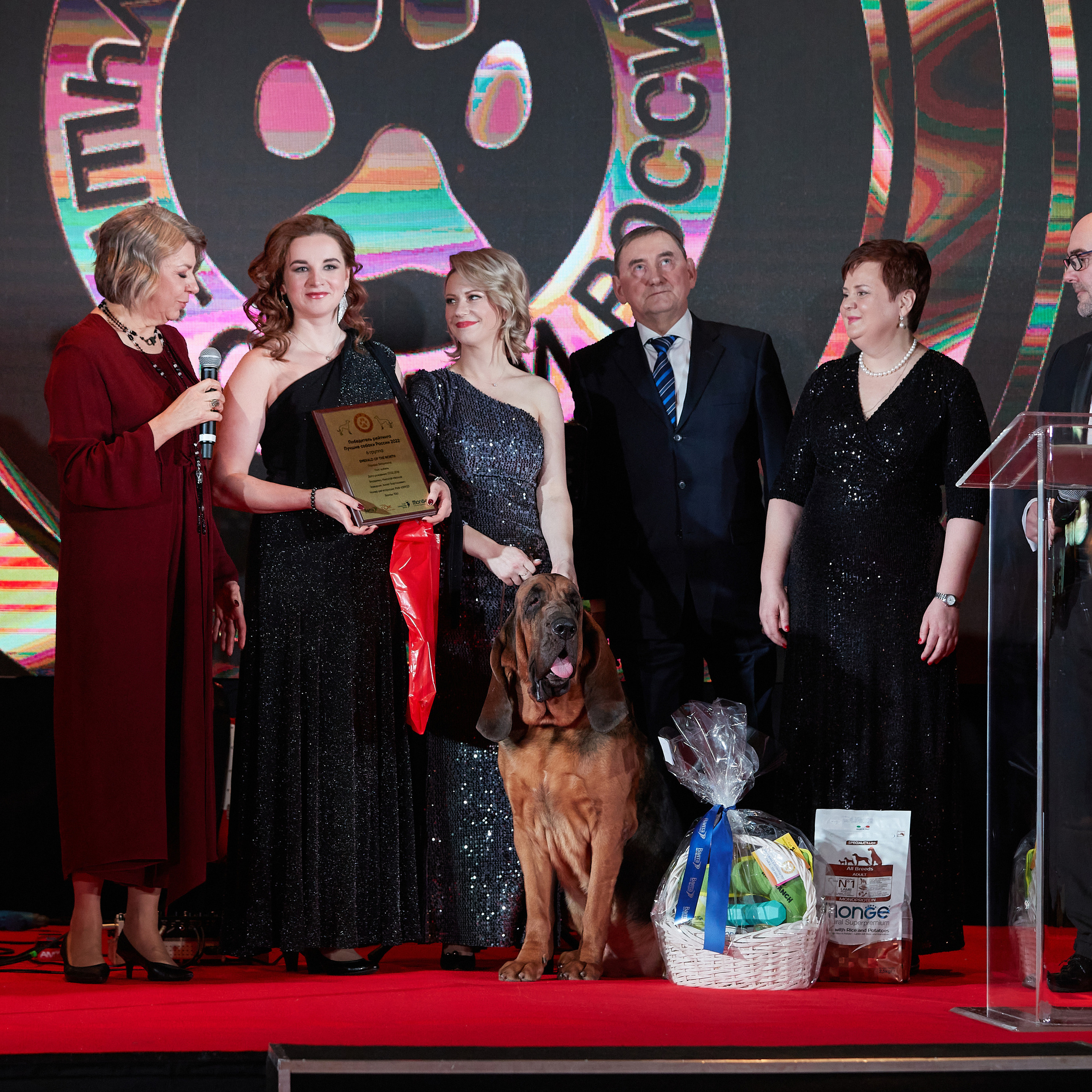 Репортаж с церемонии «BEST RUSSIAN DOG 2022». ФОТОГРАФ-АНИМАЛИСТ l LANA POLYAKOVA