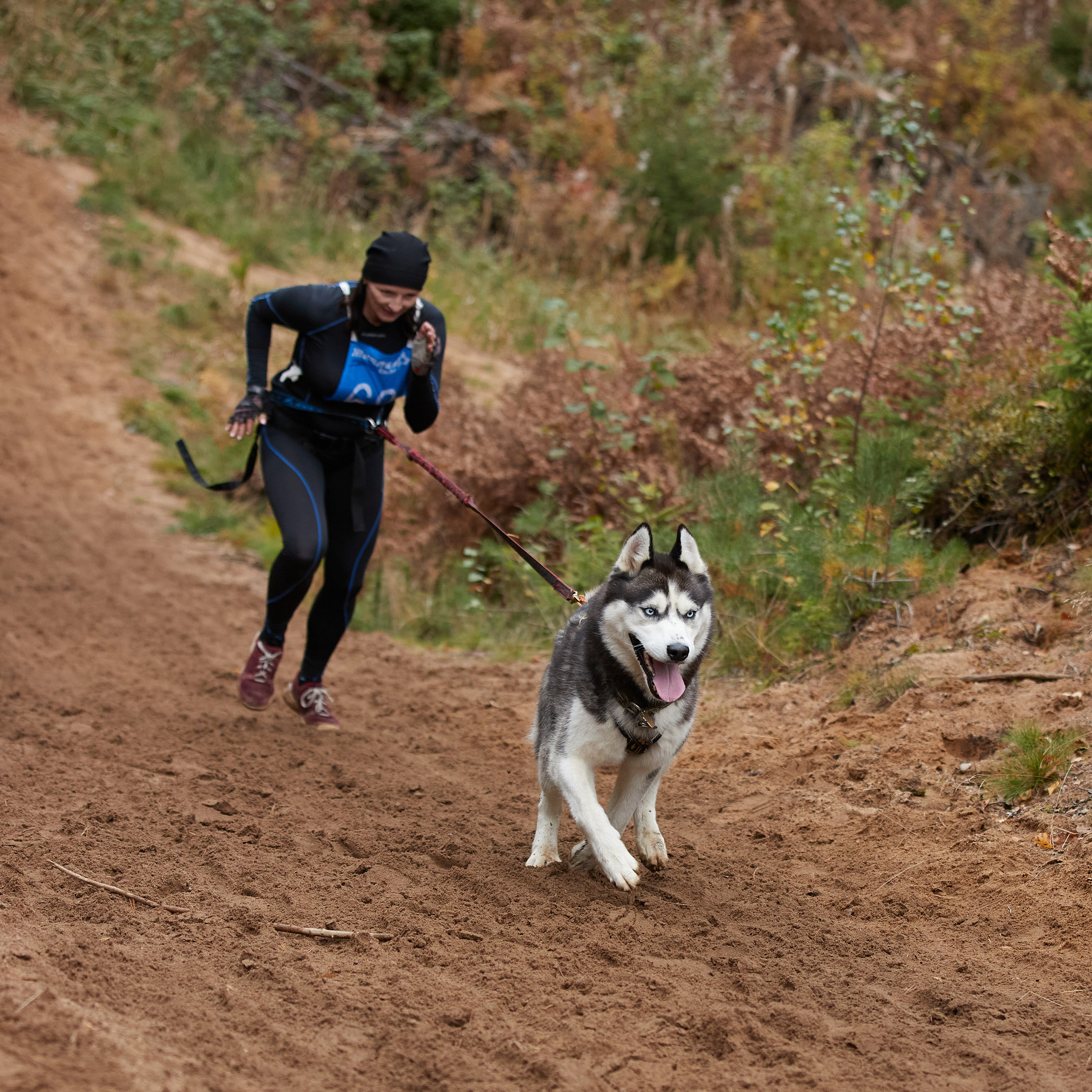 ЧЕМПИОНАТ РОССИИ РКФ 25–26 сентября 2021 г. ФОТОГРАФ-АНИМАЛИСТ l LANA POLYAKOVA