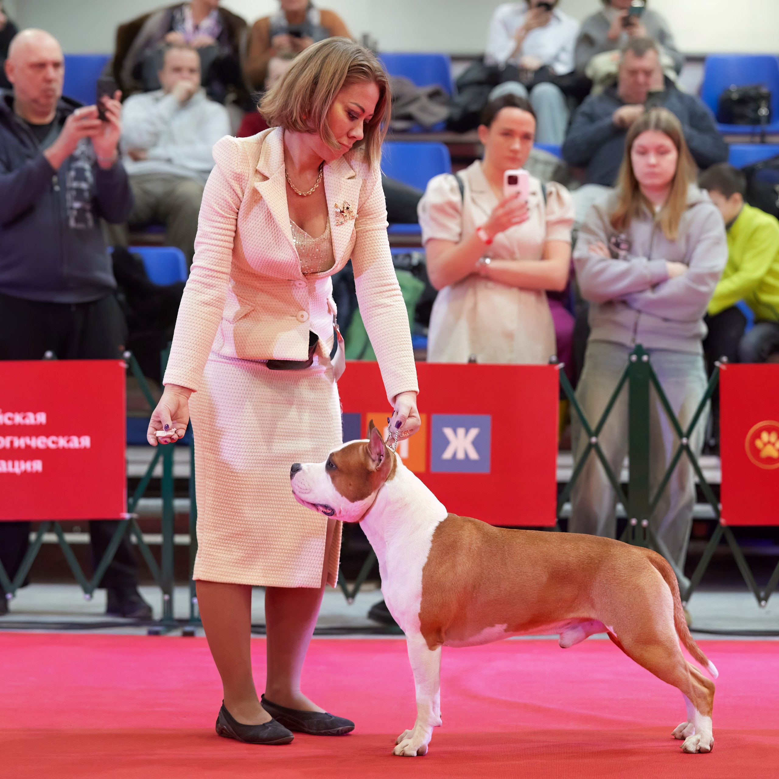 Шоу чемпионов «ЛУЧШИЕ СОБАКИ РОССИИ». ФОТОГРАФ-АНИМАЛИСТ l LANA POLYAKOVA