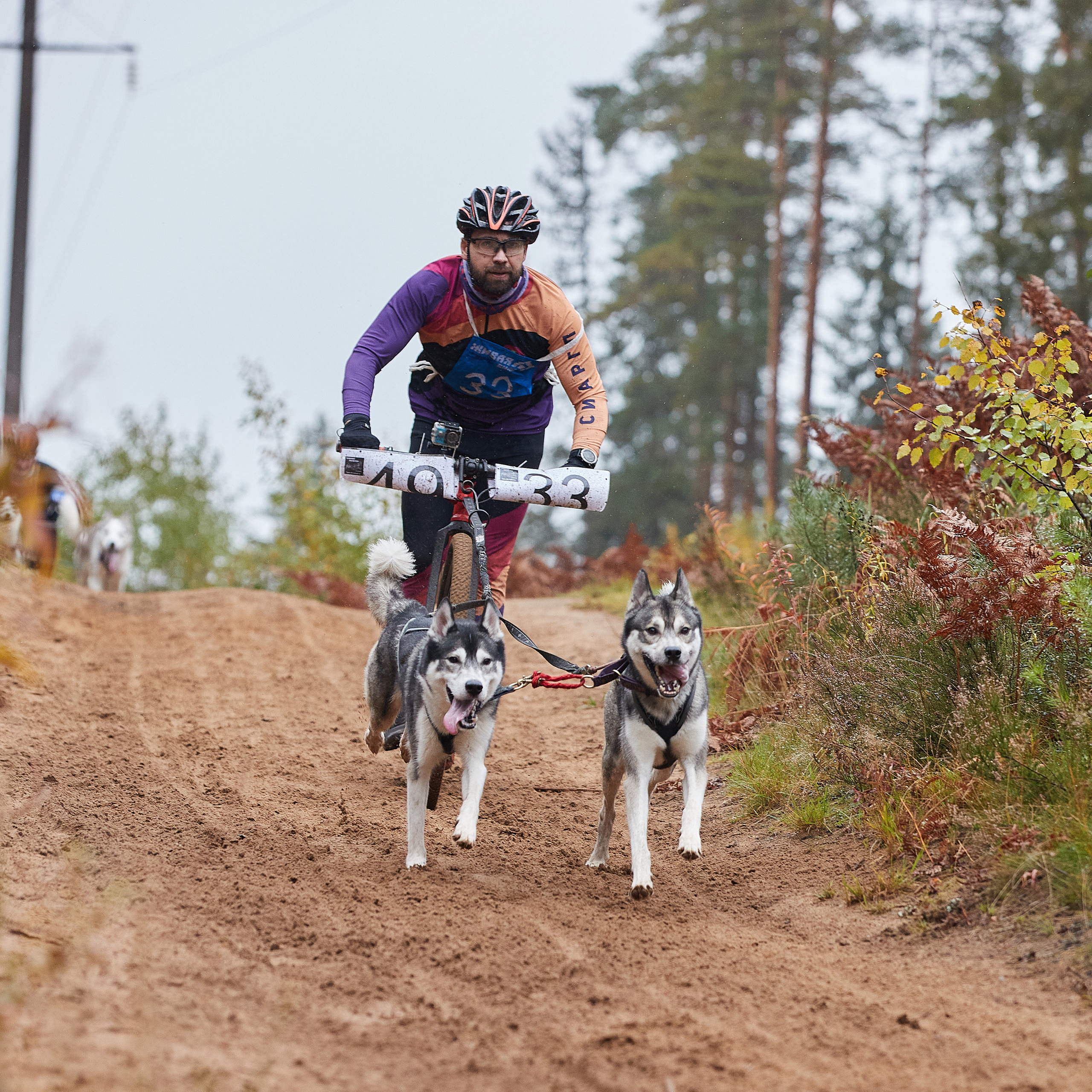 ЧЕМПИОНАТ РОССИИ РКФ 25–26 сентября 2021 г. ФОТОГРАФ-АНИМАЛИСТ l LANA POLYAKOVA