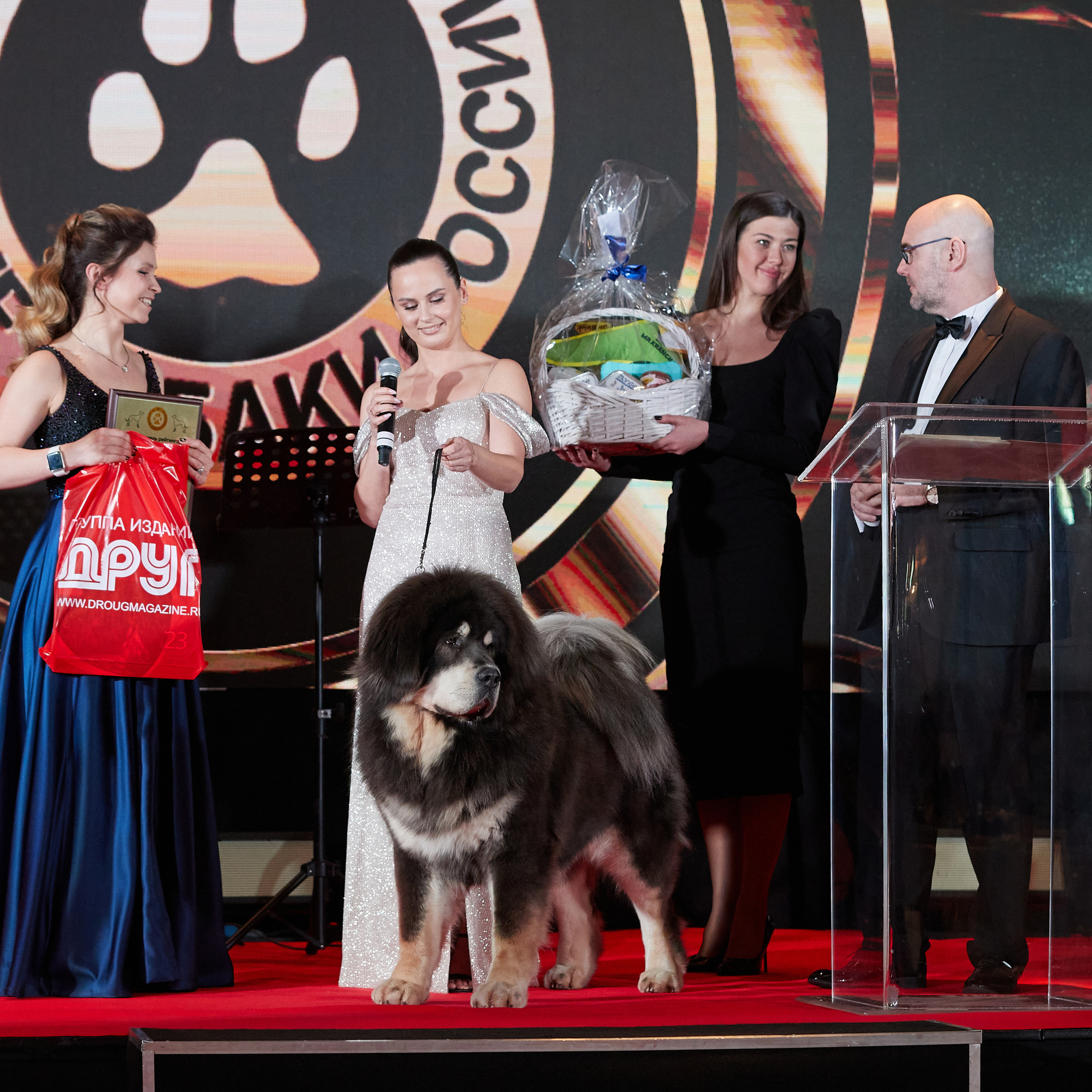 Репортаж с церемонии «BEST RUSSIAN DOG 2022». ФОТОГРАФ-АНИМАЛИСТ l LANA POLYAKOVA