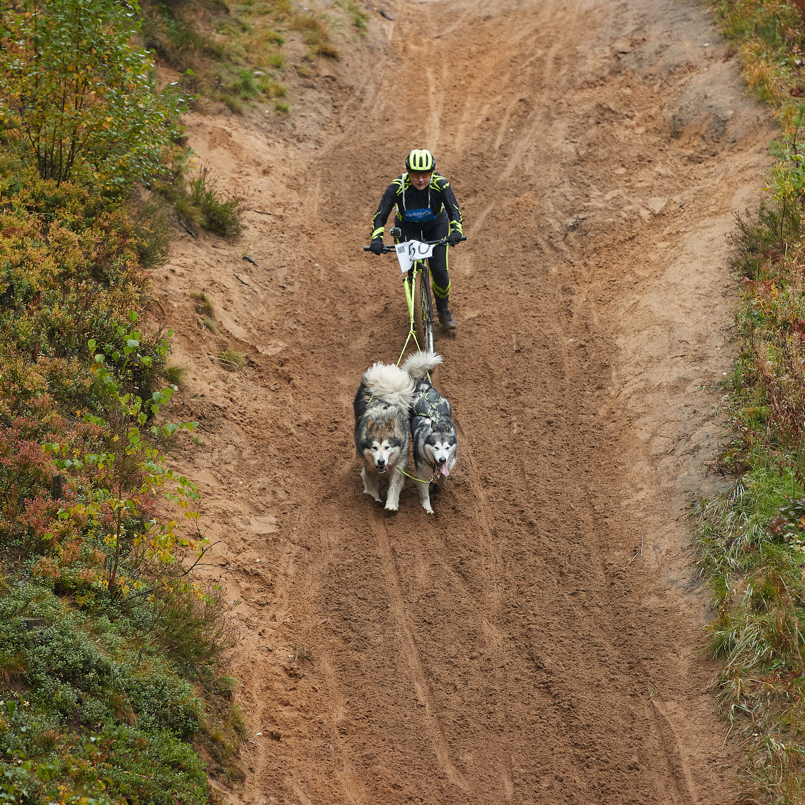 ЧЕМПИОНАТ РОССИИ РКФ 25–26 сентября 2021 г. ФОТОГРАФ-АНИМАЛИСТ l LANA POLYAKOVA