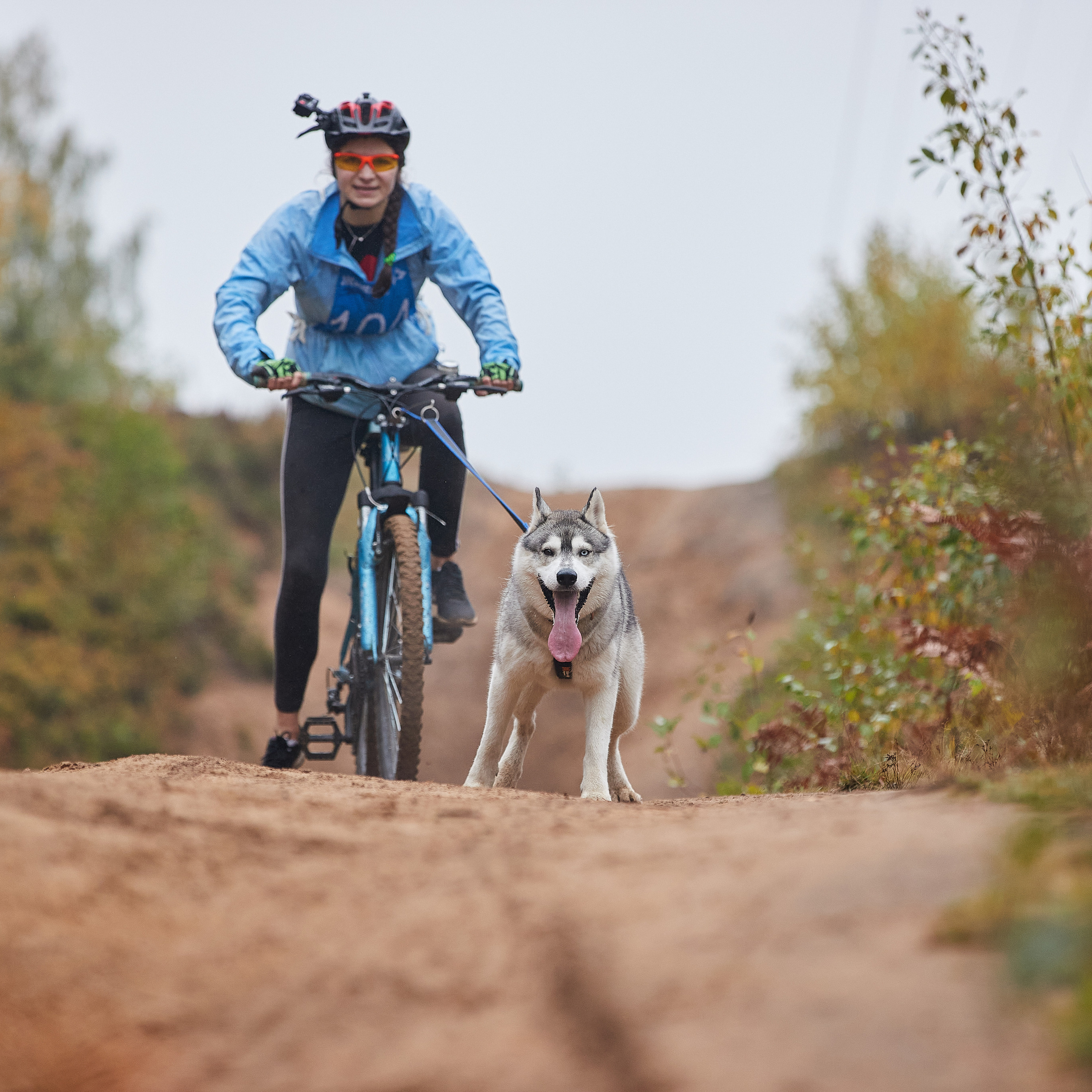 ЧЕМПИОНАТ РОССИИ РКФ 25–26 сентября 2021 г. ФОТОГРАФ-АНИМАЛИСТ l LANA POLYAKOVA