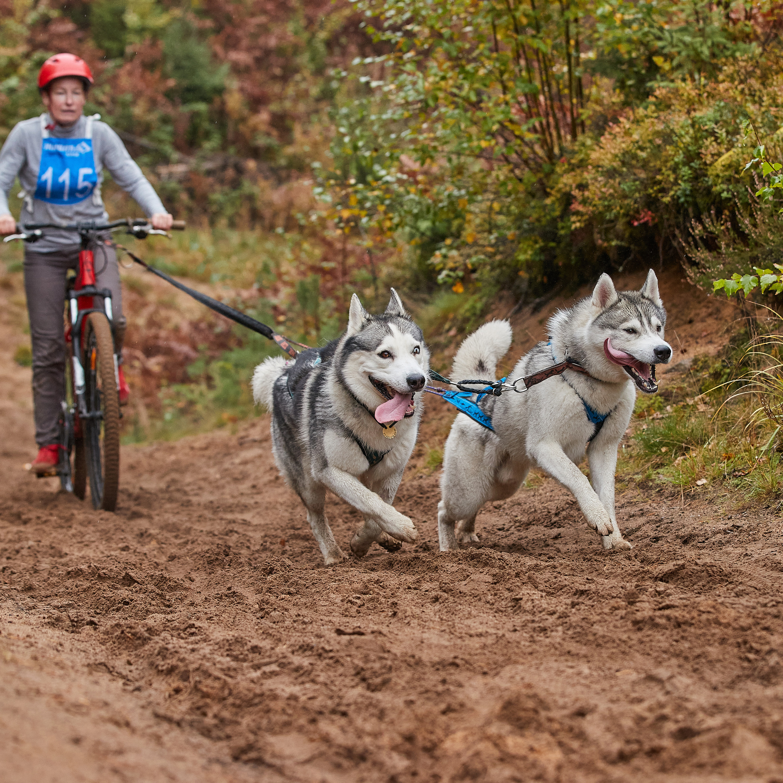 ЧЕМПИОНАТ РОССИИ РКФ 25–26 сентября 2021 г. ФОТОГРАФ-АНИМАЛИСТ l LANA POLYAKOVA