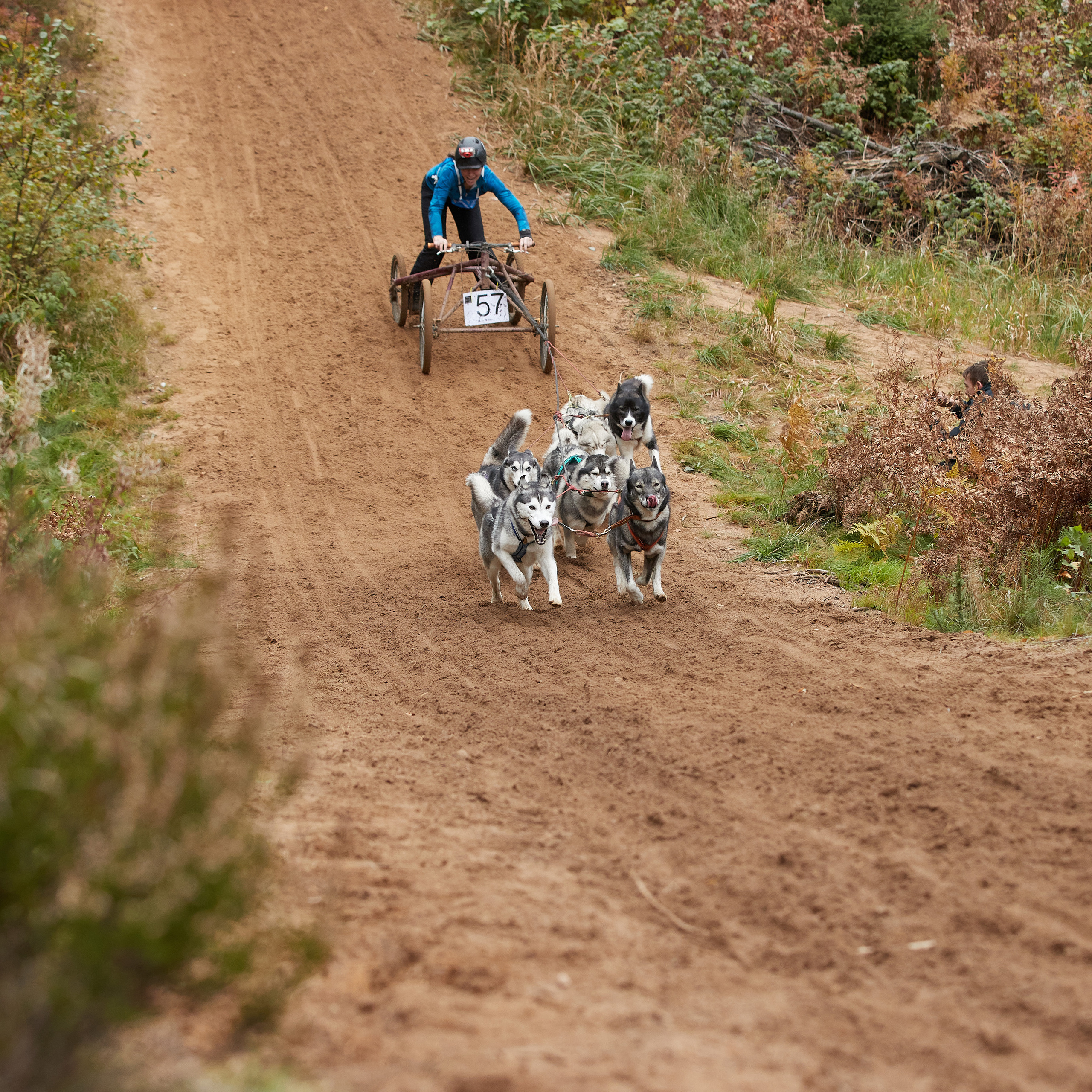 ЧЕМПИОНАТ РОССИИ РКФ 25–26 сентября 2021 г. ФОТОГРАФ-АНИМАЛИСТ l LANA POLYAKOVA