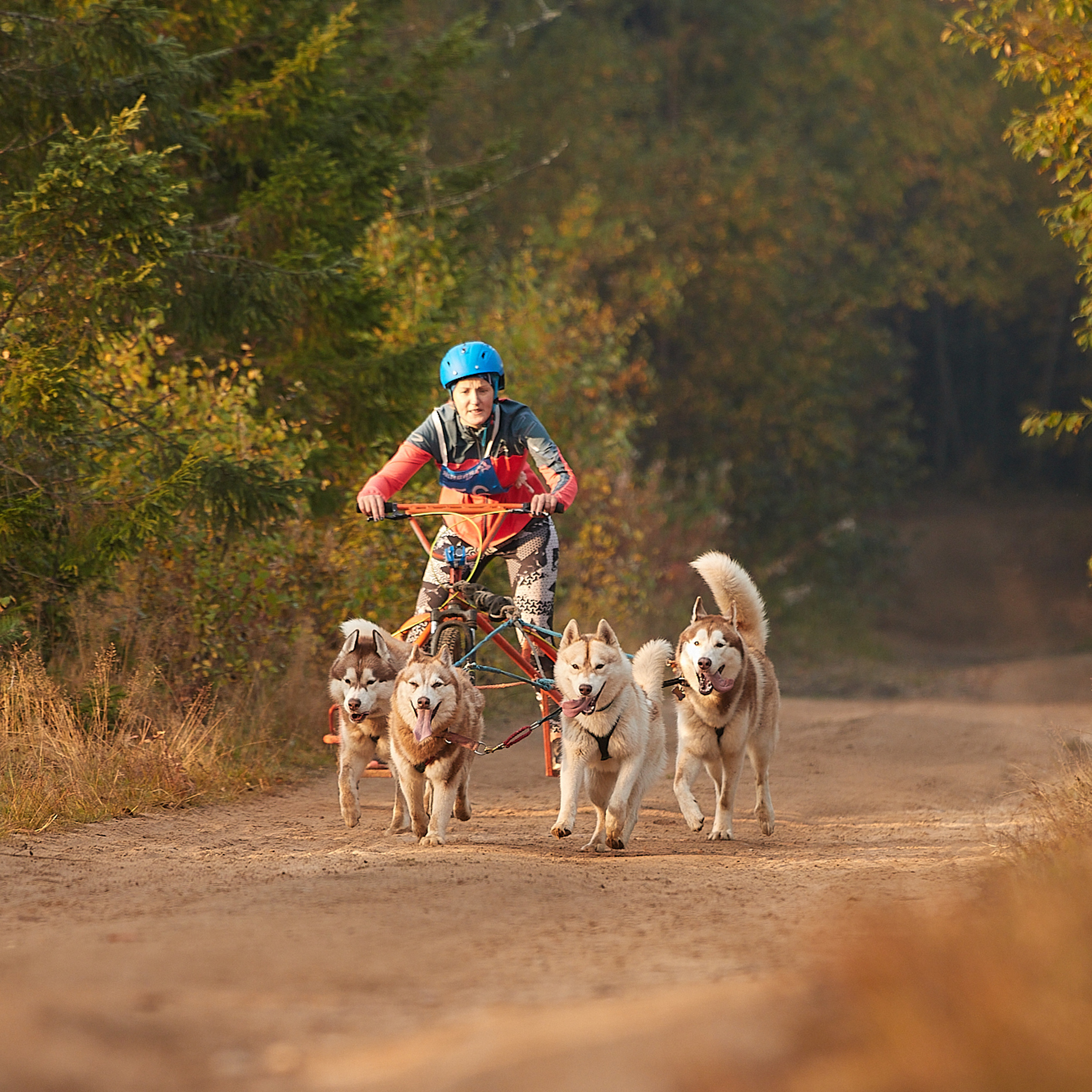 ЧЕМПИОНАТ РОССИИ РКФ 27 сентября 2020 г., 2й день. ФОТОГРАФ-АНИМАЛИСТ l LANA POLYAKOVA