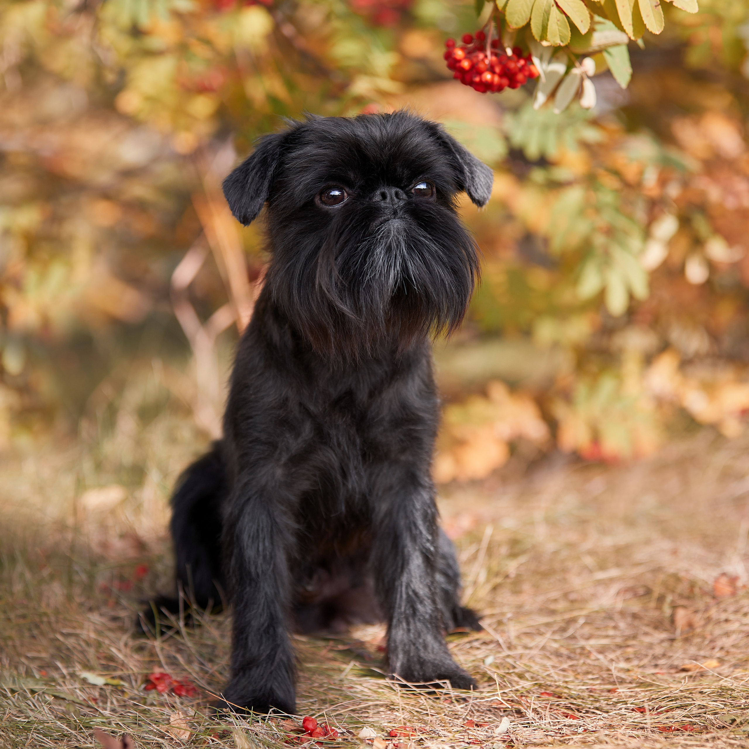 Путешествие к Байкалу. Фотосессии в Иркутске. ФОТОГРАФ-АНИМАЛИСТ l LANA POLYAKOVA