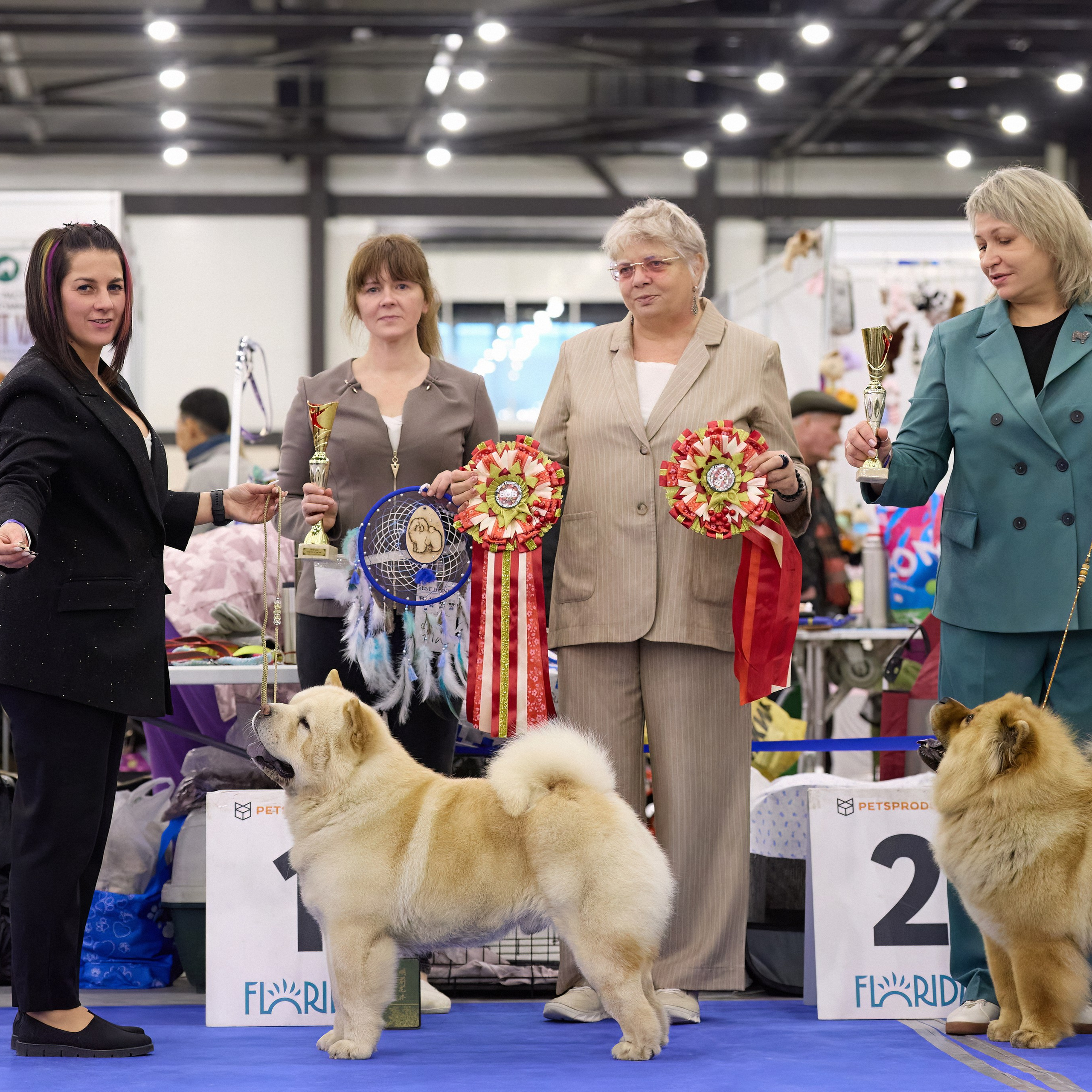 ВЫСТАВКА СОБАК С ОСОБЫМ СТАТУСОМ «НЕВСКИЙ ПОБЕДИТЕЛЬ» 12-13-14.12.2025. ФОТОГРАФ-АНИМАЛИСТ l LANA POLYAKOVA