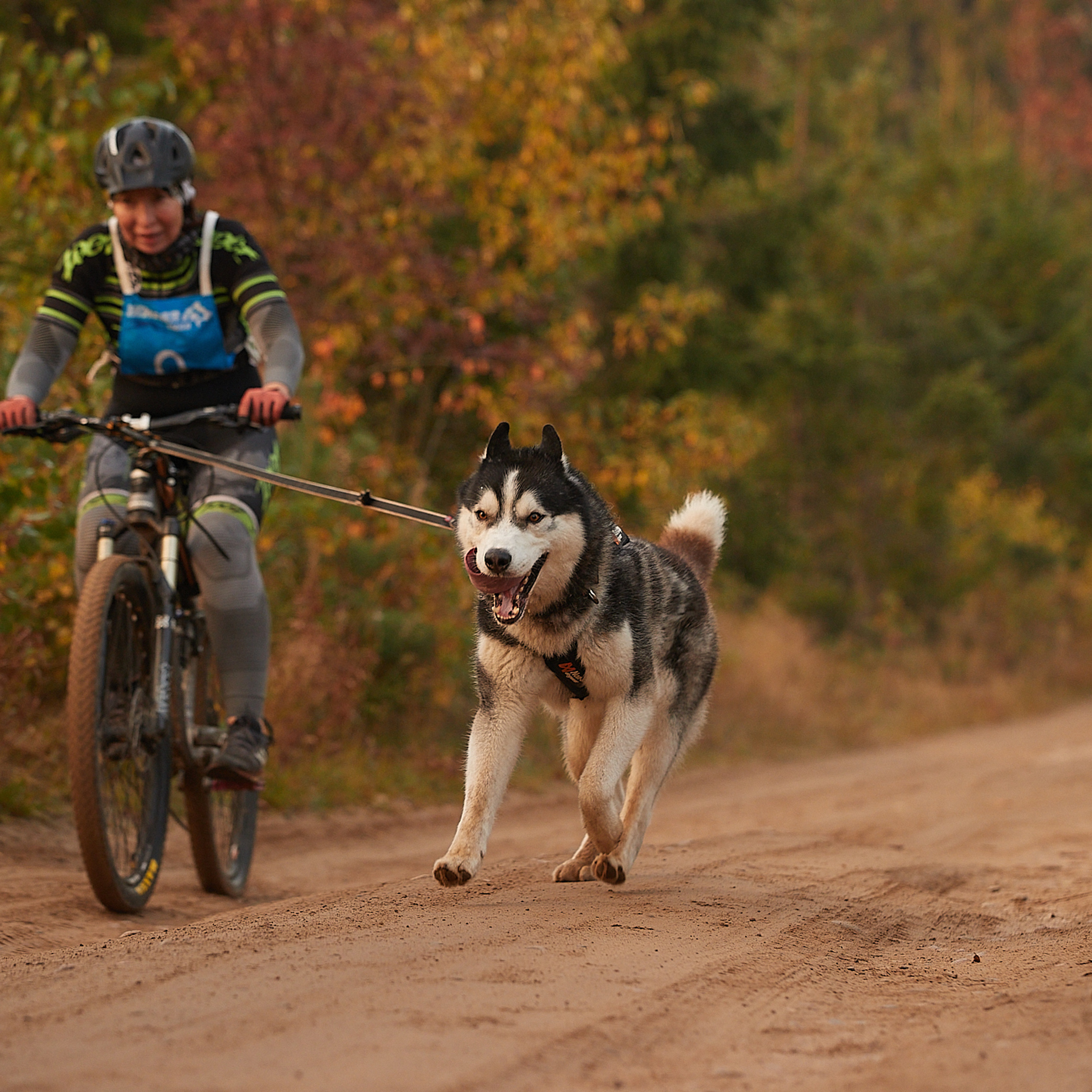 ЧЕМПИОНАТ РОССИИ РКФ 27 сентября 2020 г., 2й день. ФОТОГРАФ-АНИМАЛИСТ l LANA POLYAKOVA