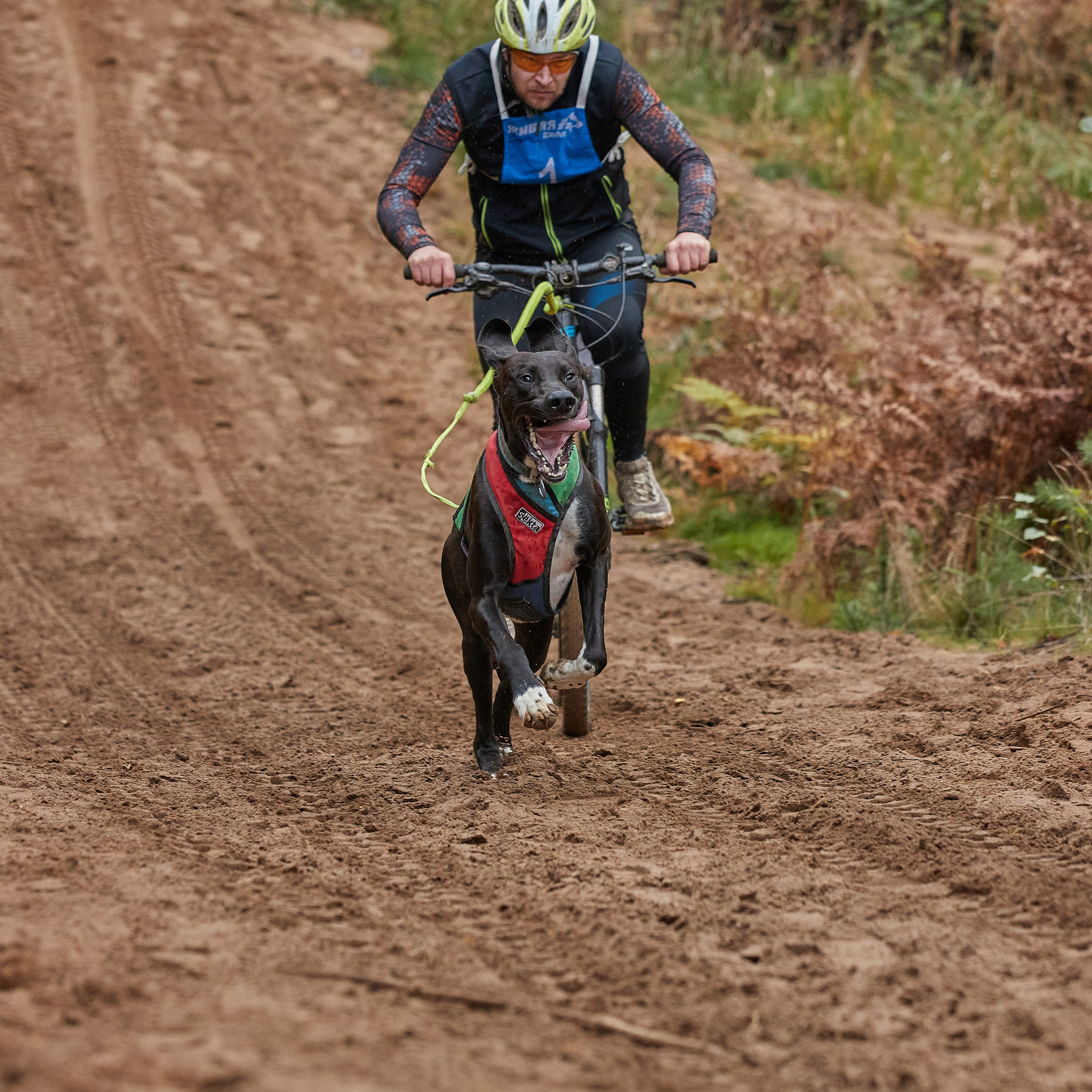 ЧЕМПИОНАТ РОССИИ РКФ 25–26 сентября 2021 г. ФОТОГРАФ-АНИМАЛИСТ l LANA POLYAKOVA