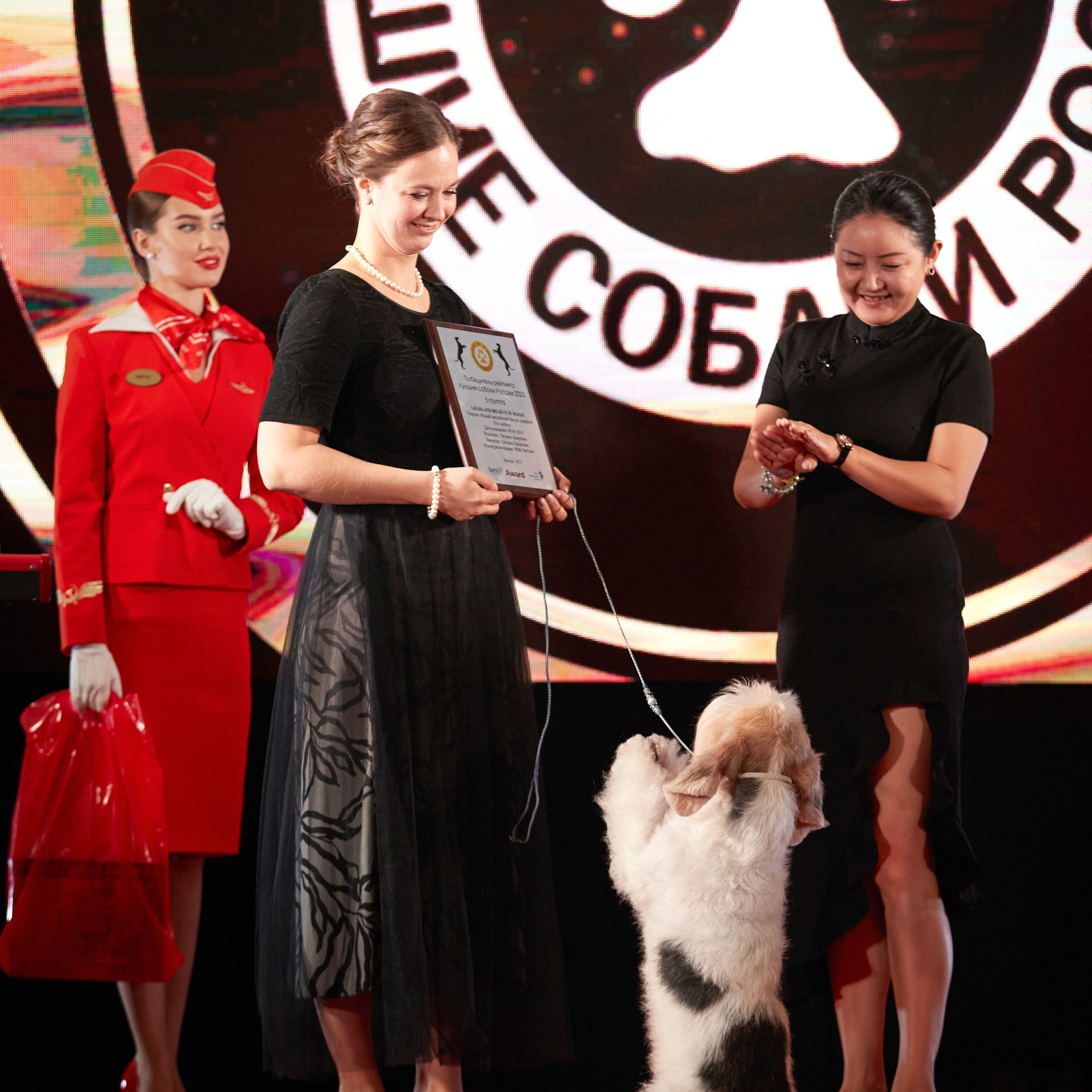 Репортаж с церемонии «BEST RUSSIAN DOG 2023». ФОТОГРАФ-АНИМАЛИСТ l LANA POLYAKOVA