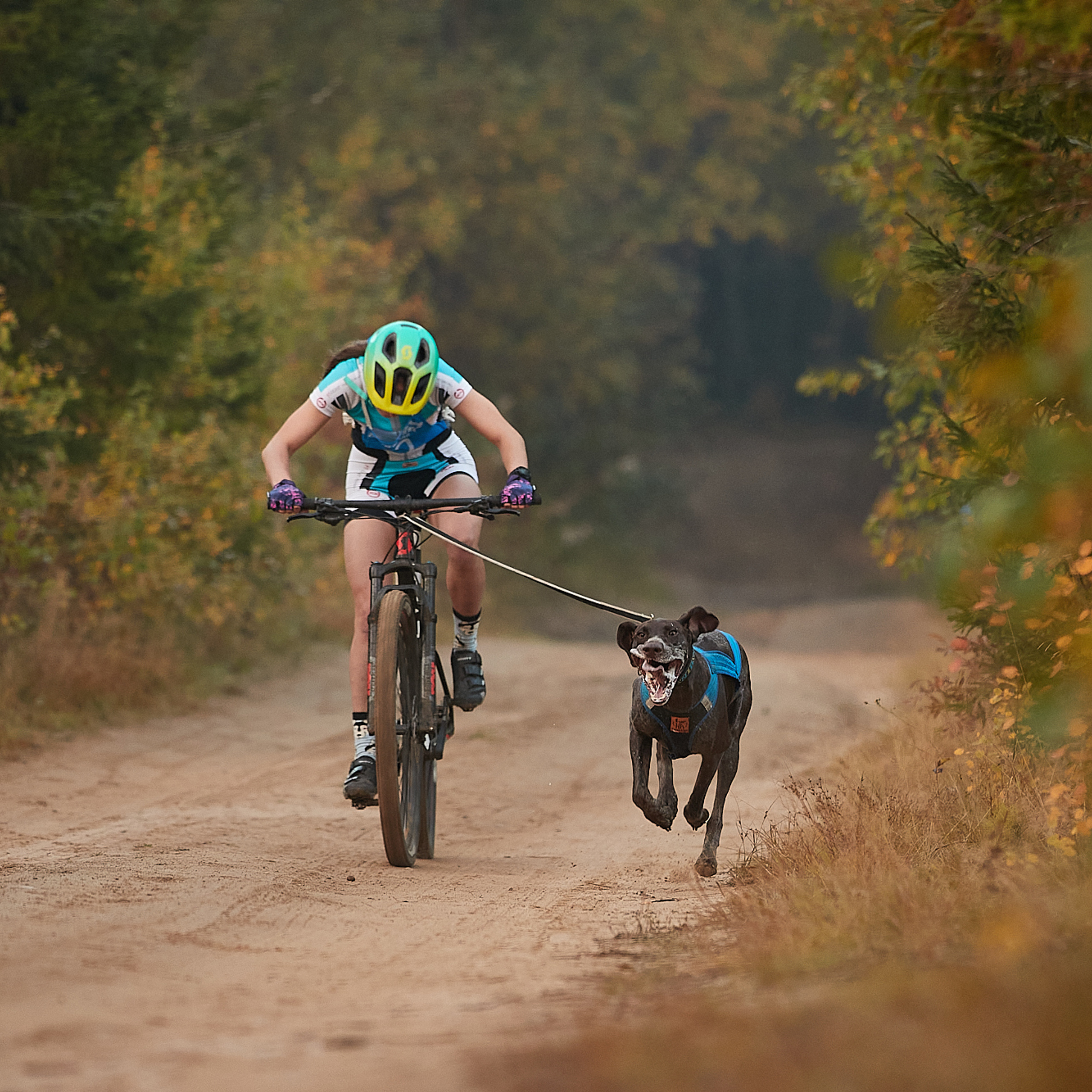 ЧЕМПИОНАТ РОССИИ РКФ 27 сентября 2020 г., 2й день. ФОТОГРАФ-АНИМАЛИСТ l LANA POLYAKOVA
