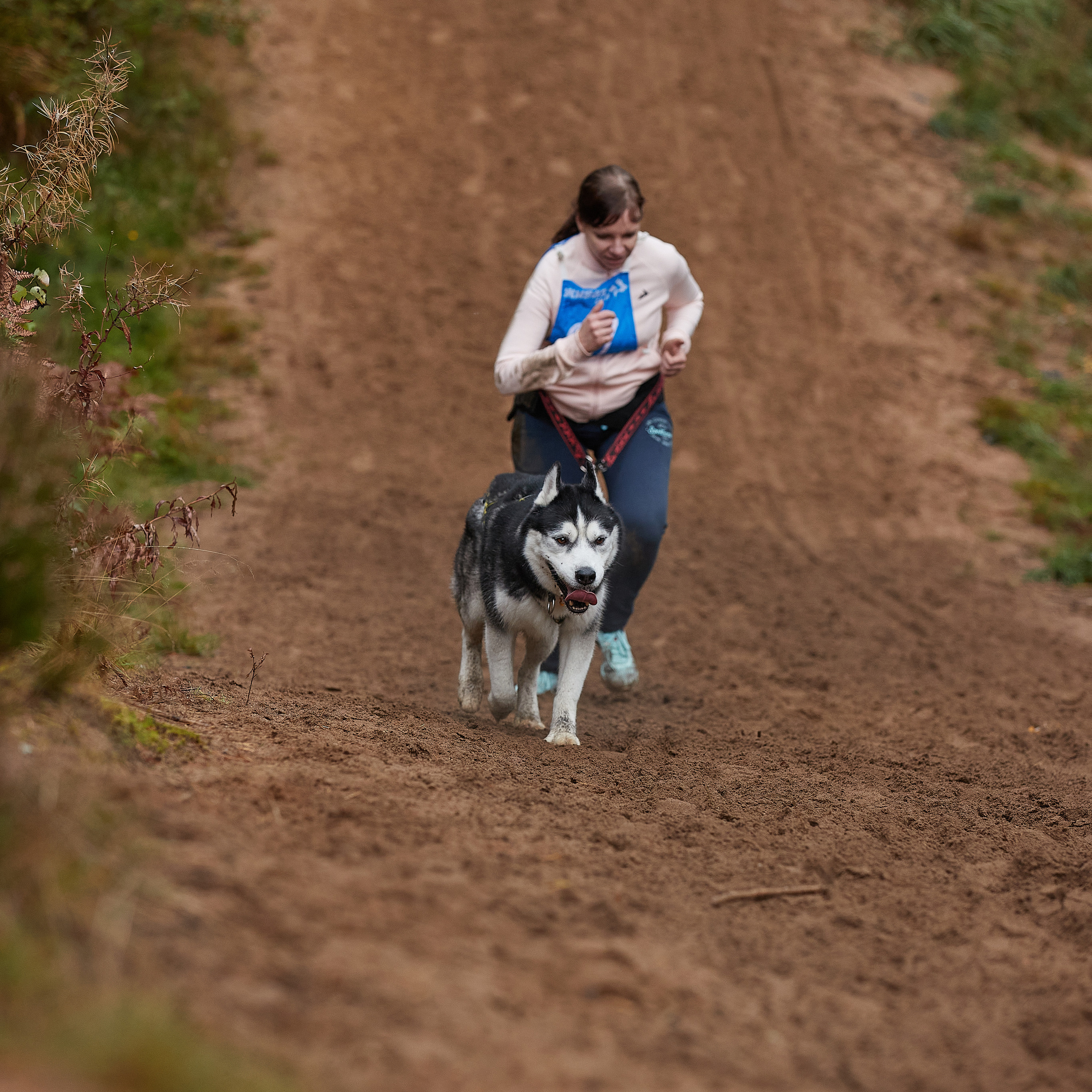 ЧЕМПИОНАТ РОССИИ РКФ 25–26 сентября 2021 г. ФОТОГРАФ-АНИМАЛИСТ l LANA POLYAKOVA