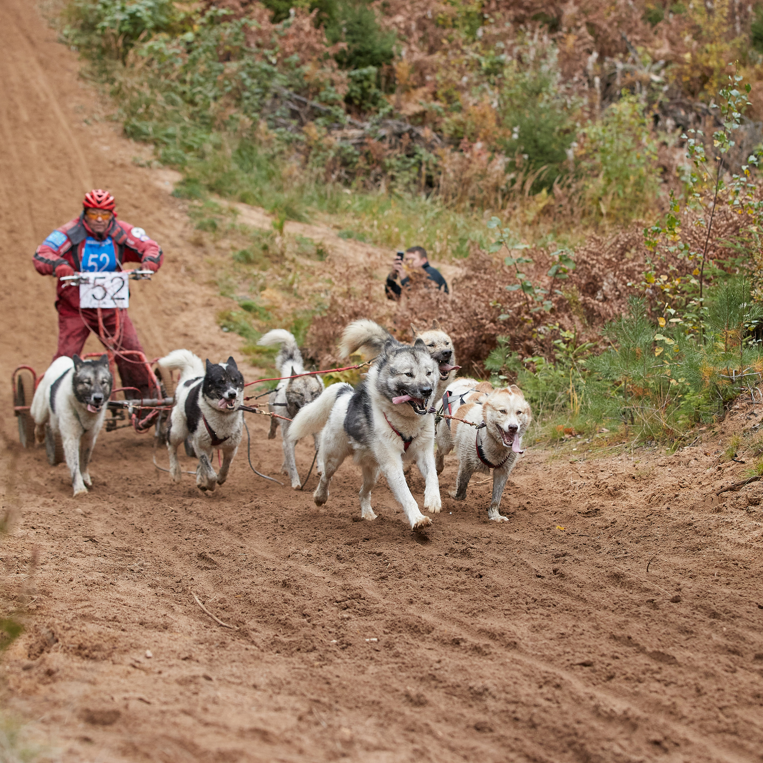 ЧЕМПИОНАТ РОССИИ РКФ 25–26 сентября 2021 г. ФОТОГРАФ-АНИМАЛИСТ l LANA POLYAKOVA