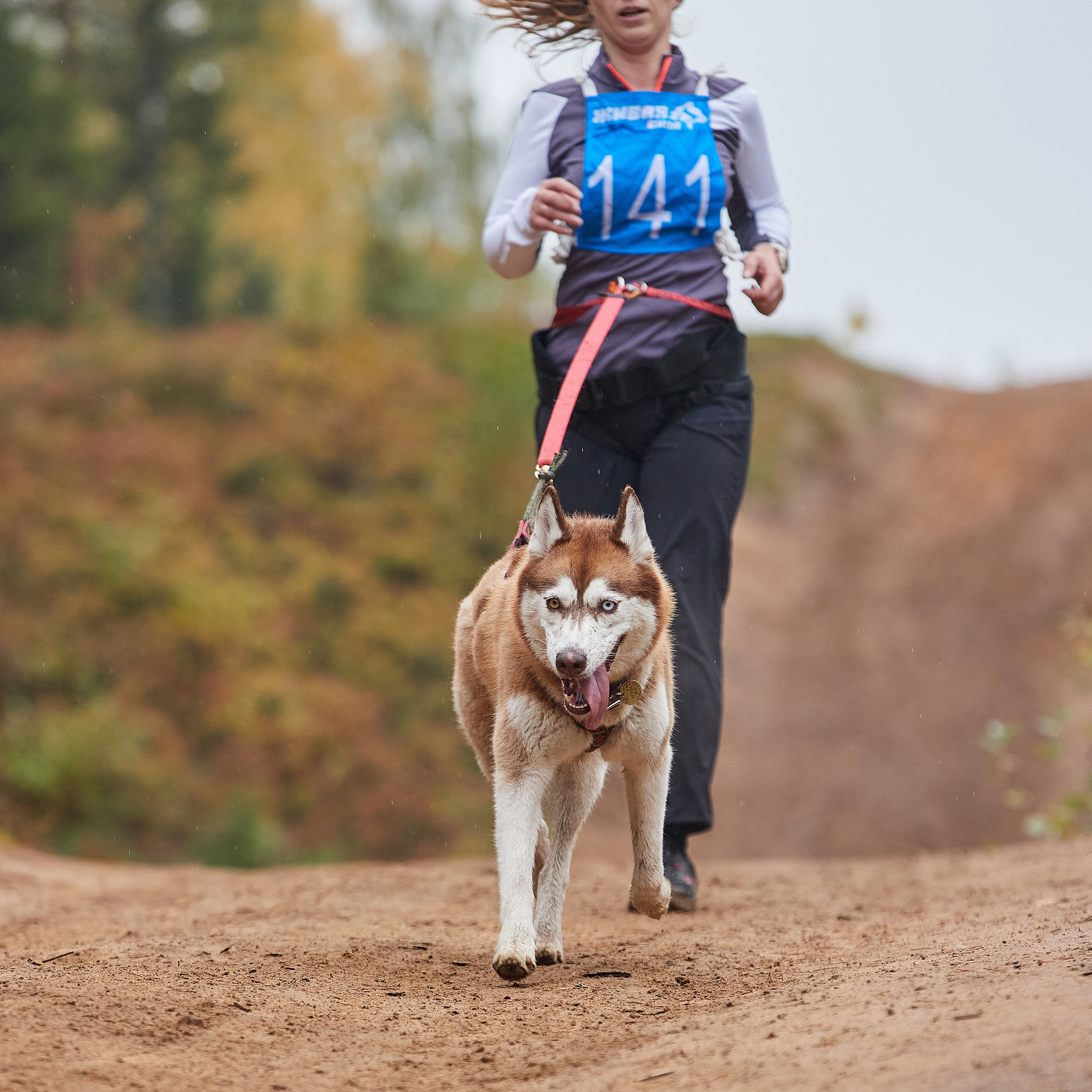 ЧЕМПИОНАТ РОССИИ РКФ 25–26 сентября 2021 г. ФОТОГРАФ-АНИМАЛИСТ l LANA POLYAKOVA