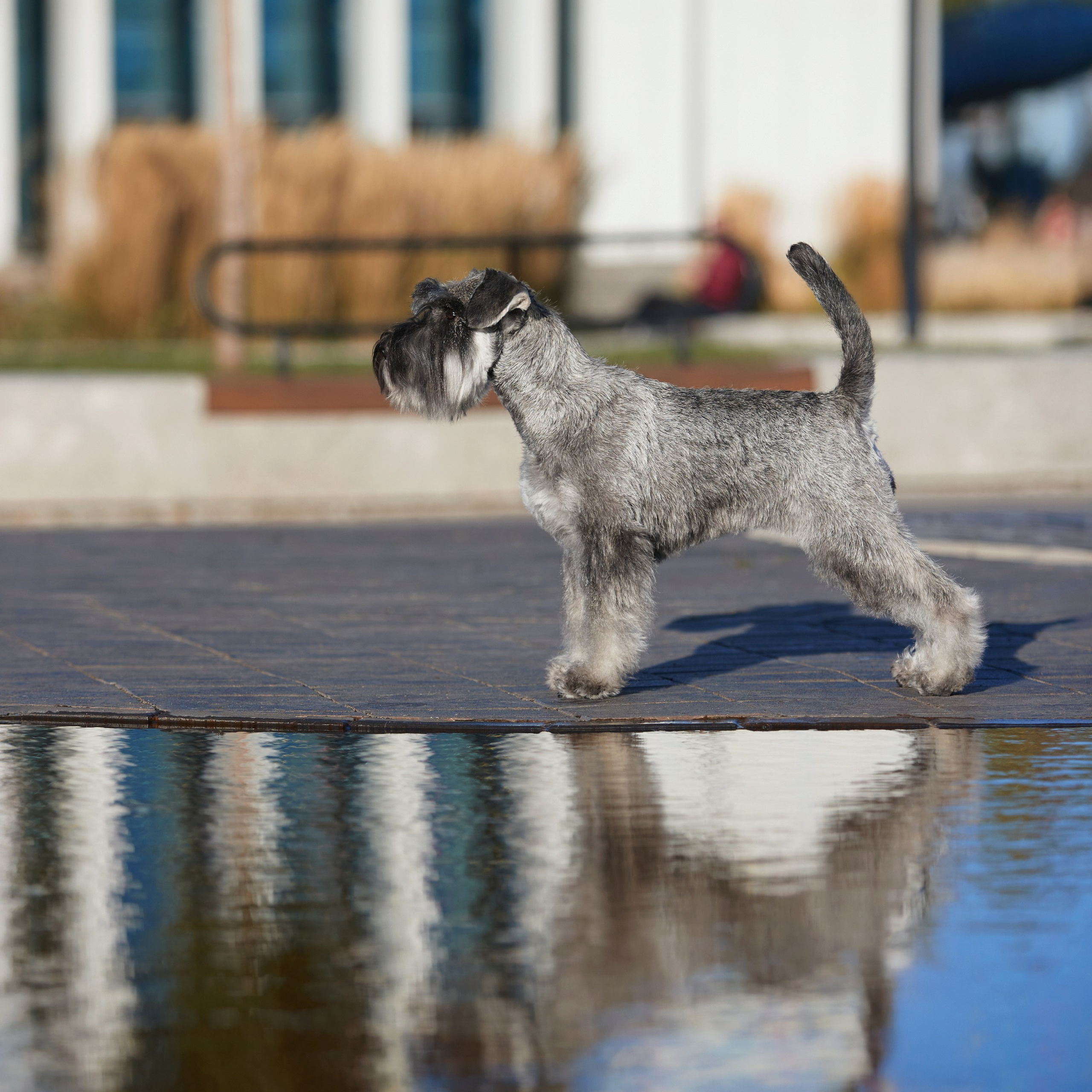«СЕЗОН В НИЖНЕМ» НИЖНИЙ НОВГОРОД-2024. ФОТОГРАФ-АНИМАЛИСТ l LANA POLYAKOVA
