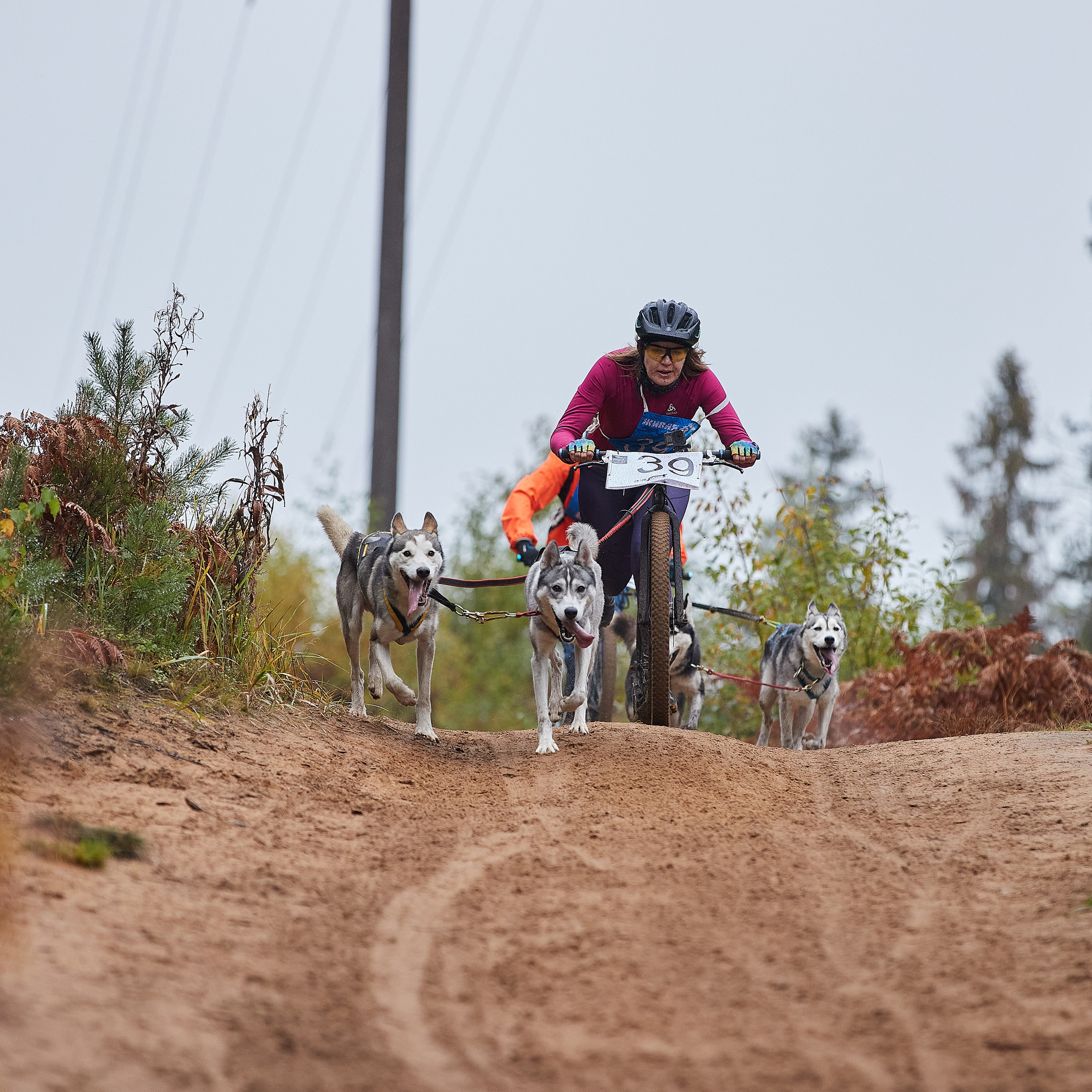 ЧЕМПИОНАТ РОССИИ РКФ 25–26 сентября 2021 г. ФОТОГРАФ-АНИМАЛИСТ l LANA POLYAKOVA