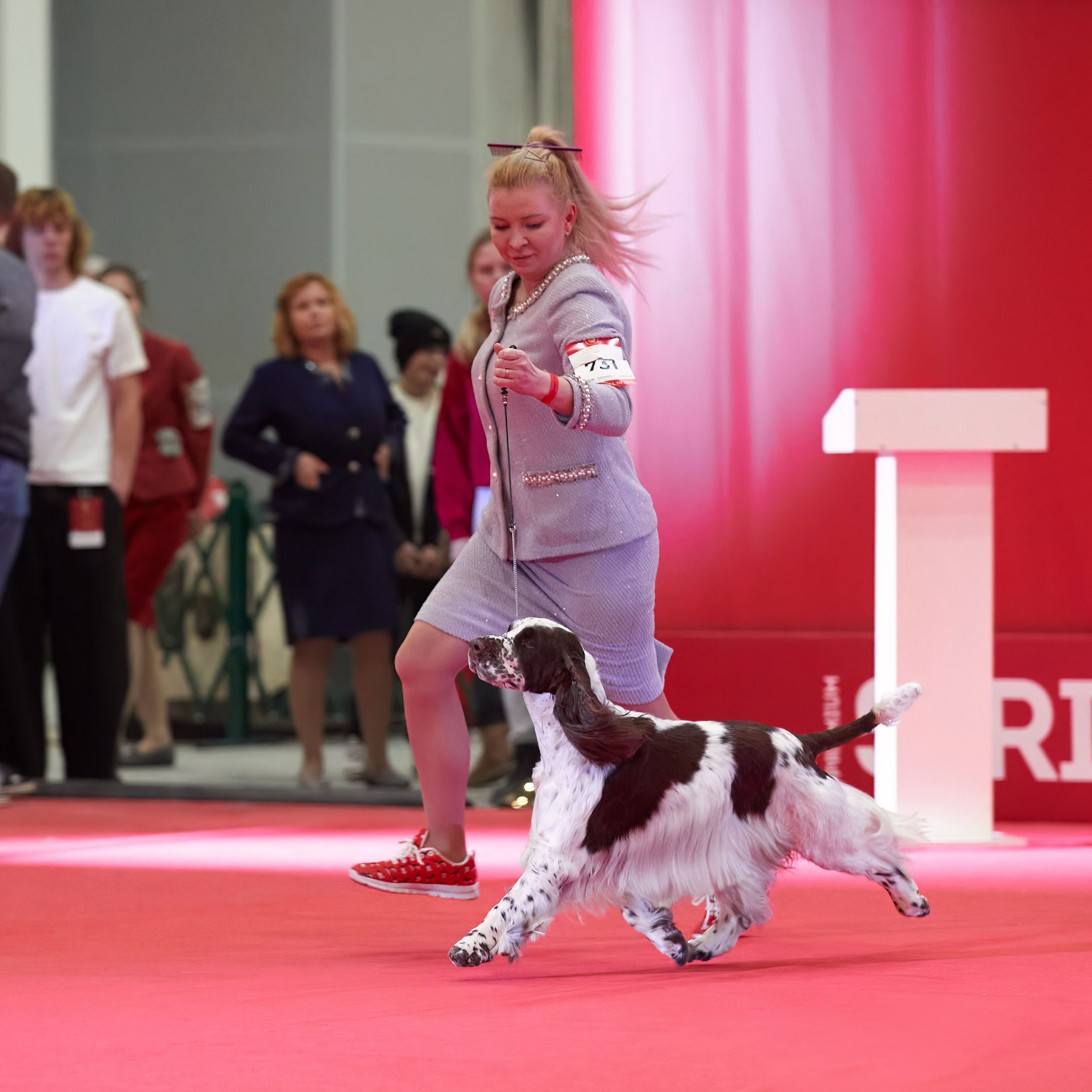 Шоу чемпионов «ЛУЧШИЕ СОБАКИ РОССИИ». ФОТОГРАФ-АНИМАЛИСТ l LANA POLYAKOVA