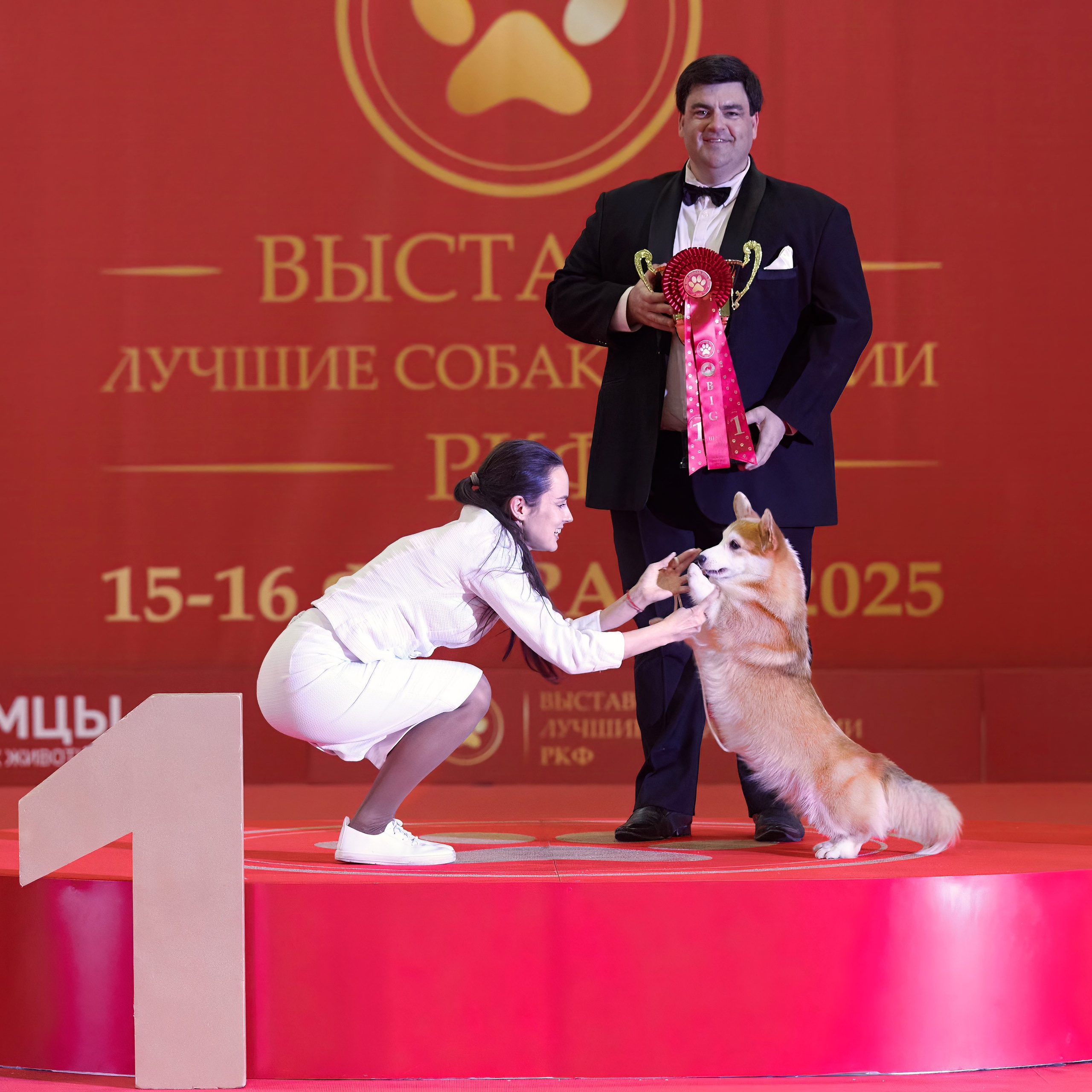 Шоу чемпионов «ЛУЧШИЕ СОБАКИ РОССИИ». ФОТОГРАФ-АНИМАЛИСТ l LANA POLYAKOVA