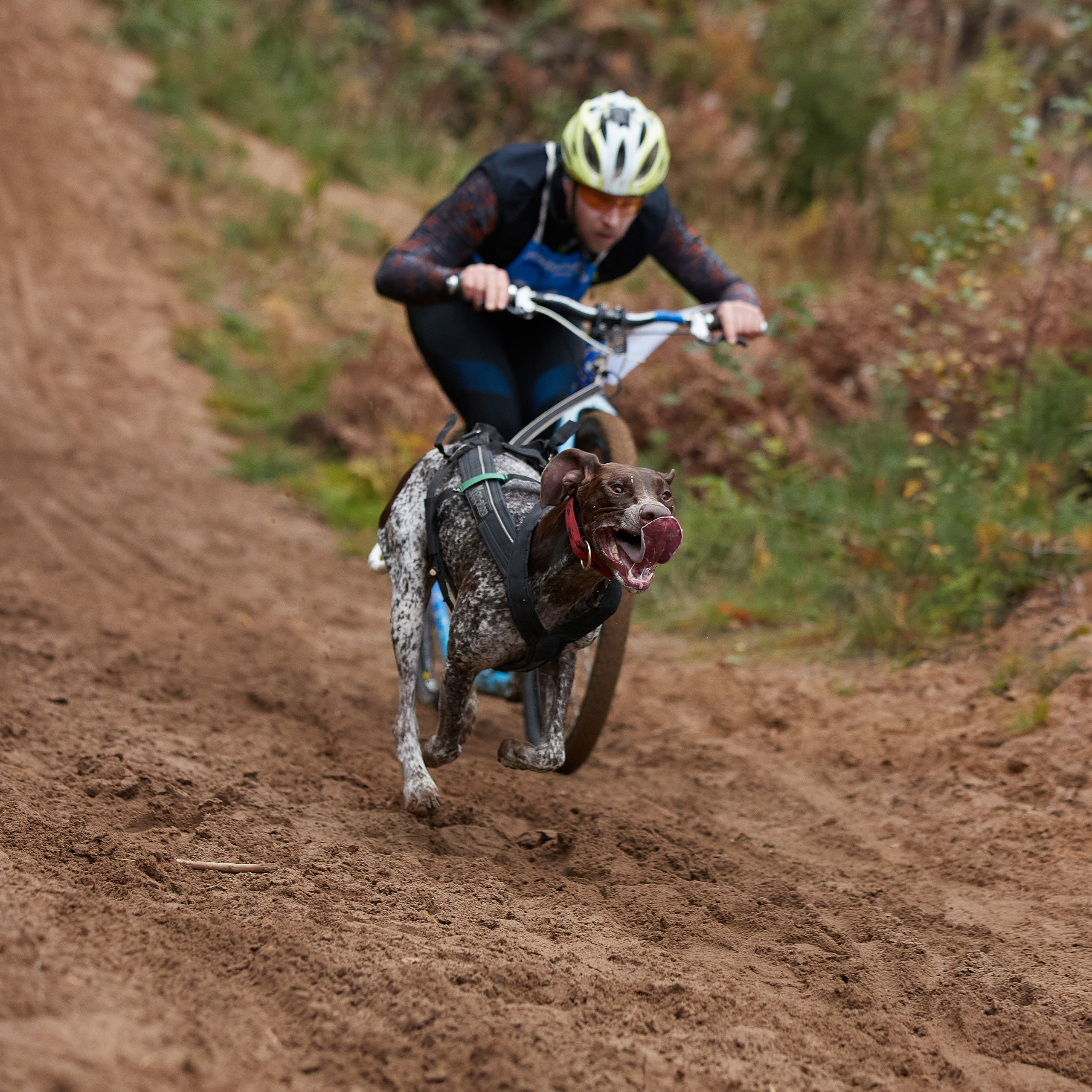 ЧЕМПИОНАТ РОССИИ РКФ 25–26 сентября 2021 г. ФОТОГРАФ-АНИМАЛИСТ l LANA POLYAKOVA