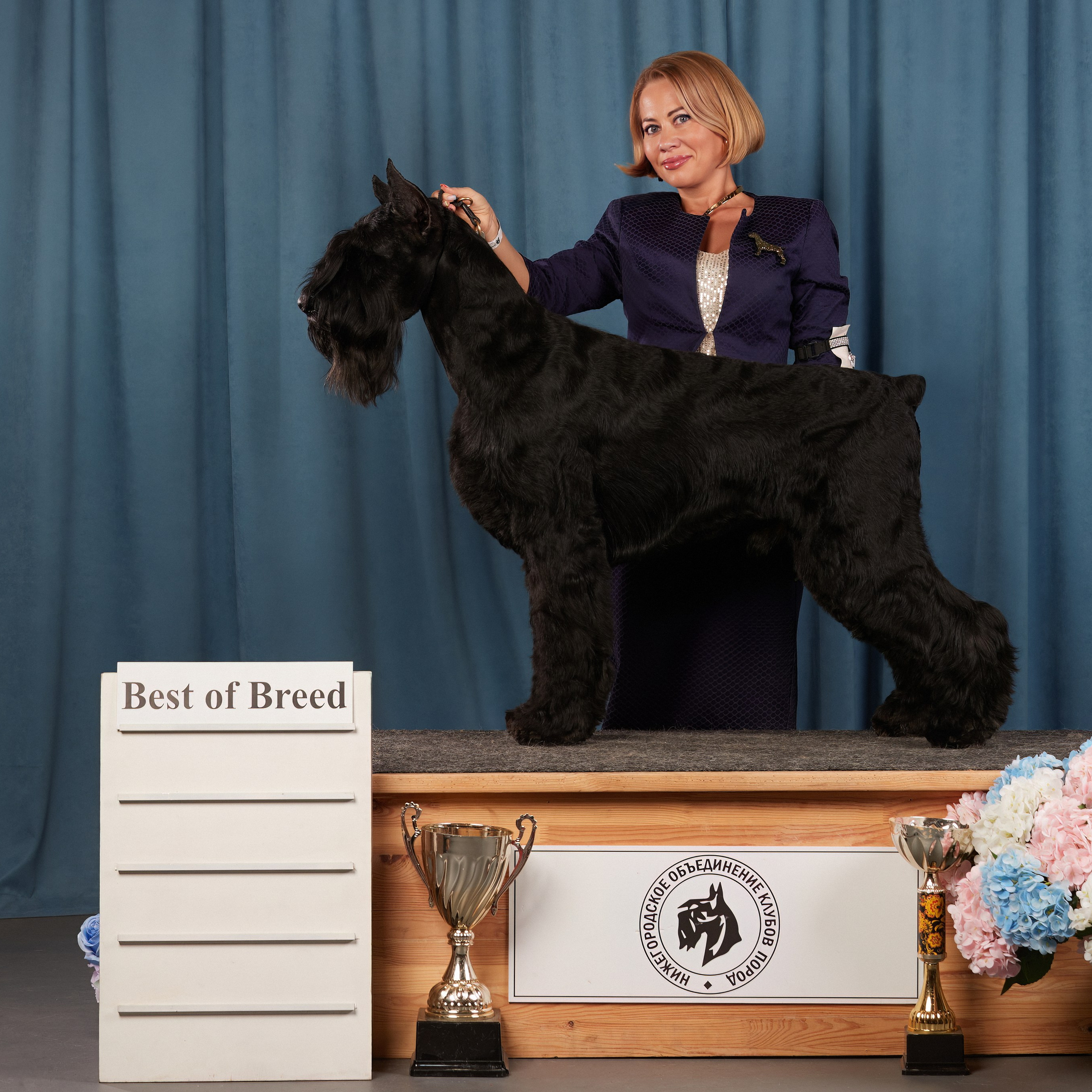 «СЕЗОН В НИЖНЕМ» НИЖНИЙ НОВГОРОД-2024. ФОТОГРАФ-АНИМАЛИСТ l LANA POLYAKOVA