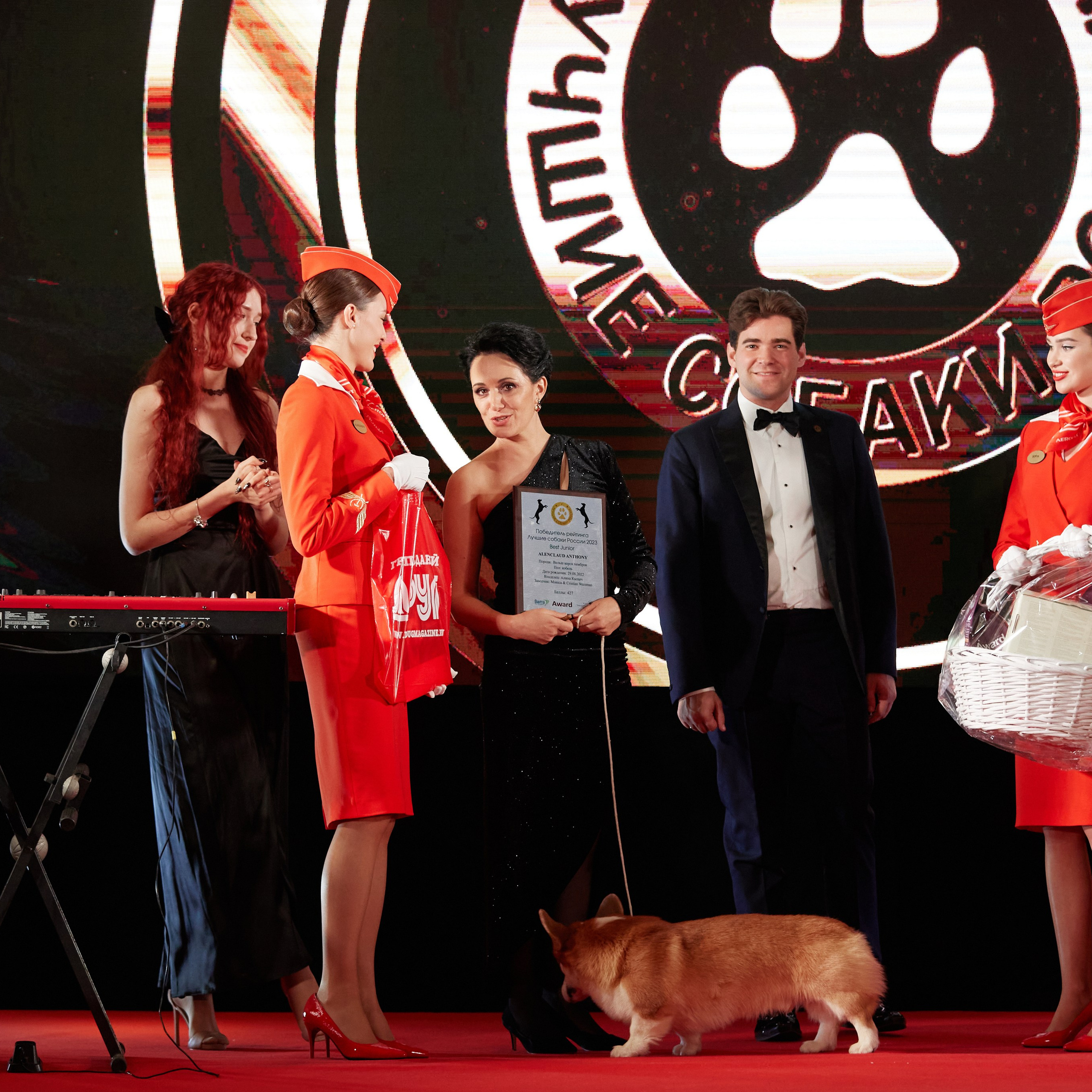 Репортаж с церемонии «BEST RUSSIAN DOG 2023». ФОТОГРАФ-АНИМАЛИСТ l LANA POLYAKOVA