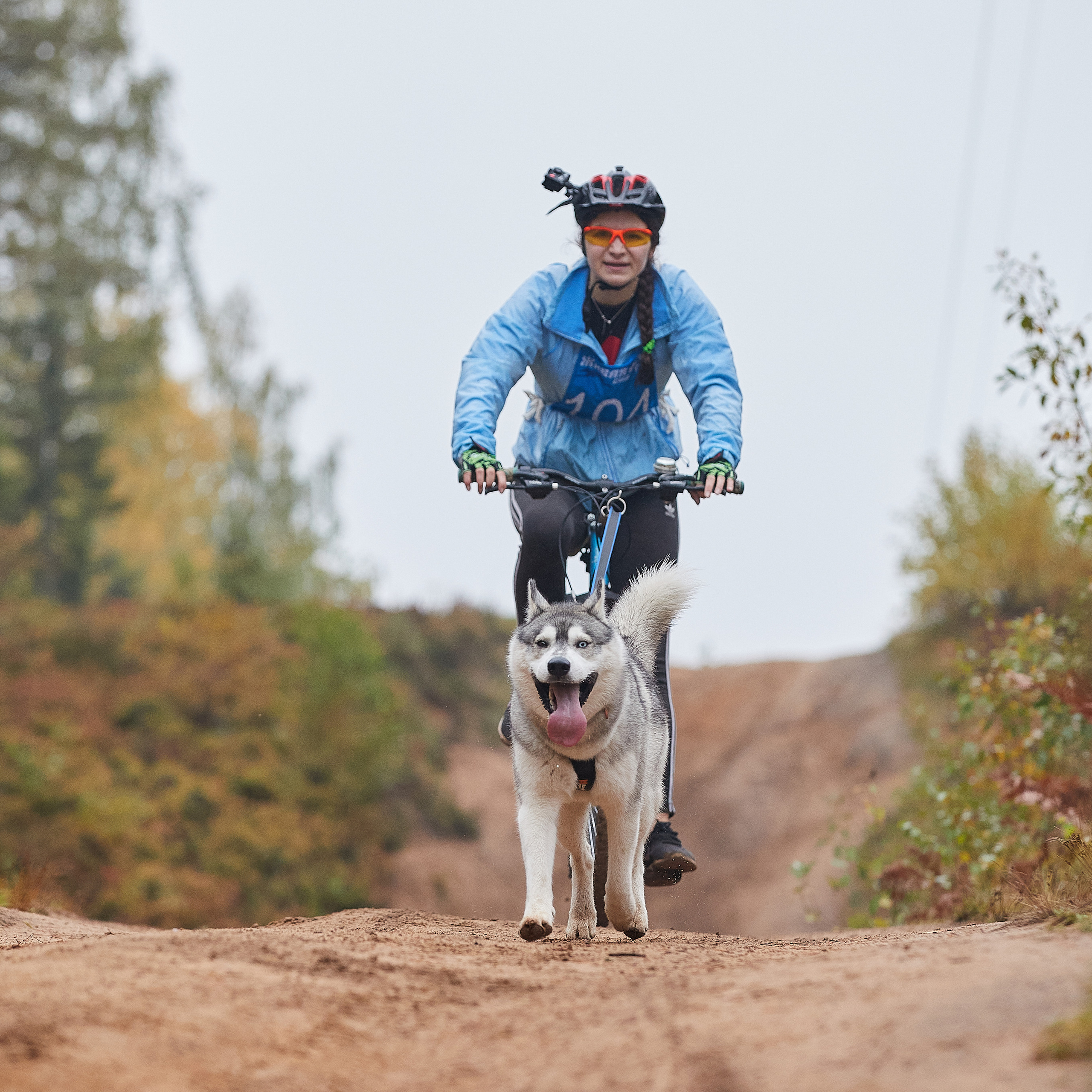 ЧЕМПИОНАТ РОССИИ РКФ 25–26 сентября 2021 г. ФОТОГРАФ-АНИМАЛИСТ l LANA POLYAKOVA