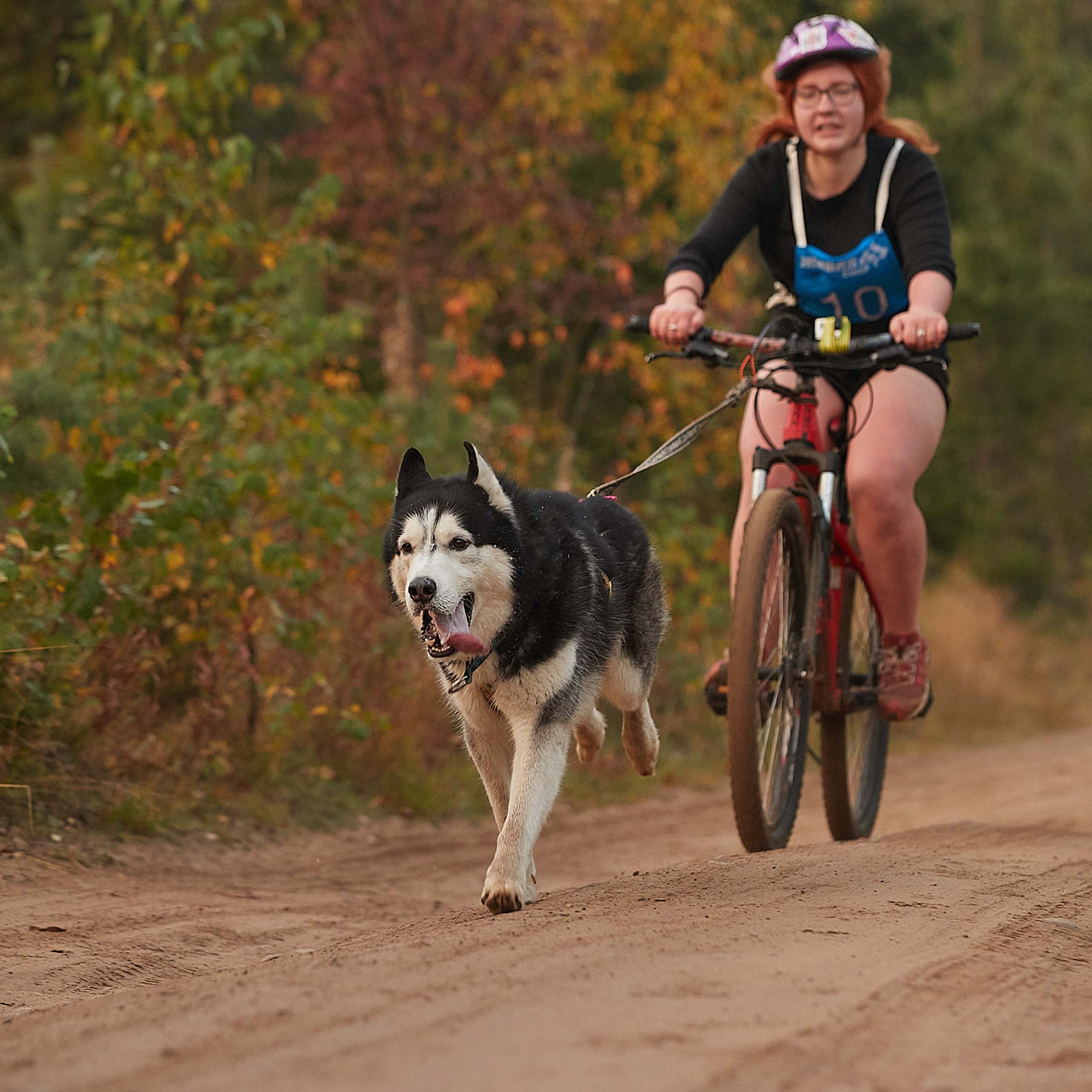 ЧЕМПИОНАТ РОССИИ РКФ 27 сентября 2020 г., 2й день. ФОТОГРАФ-АНИМАЛИСТ l LANA POLYAKOVA