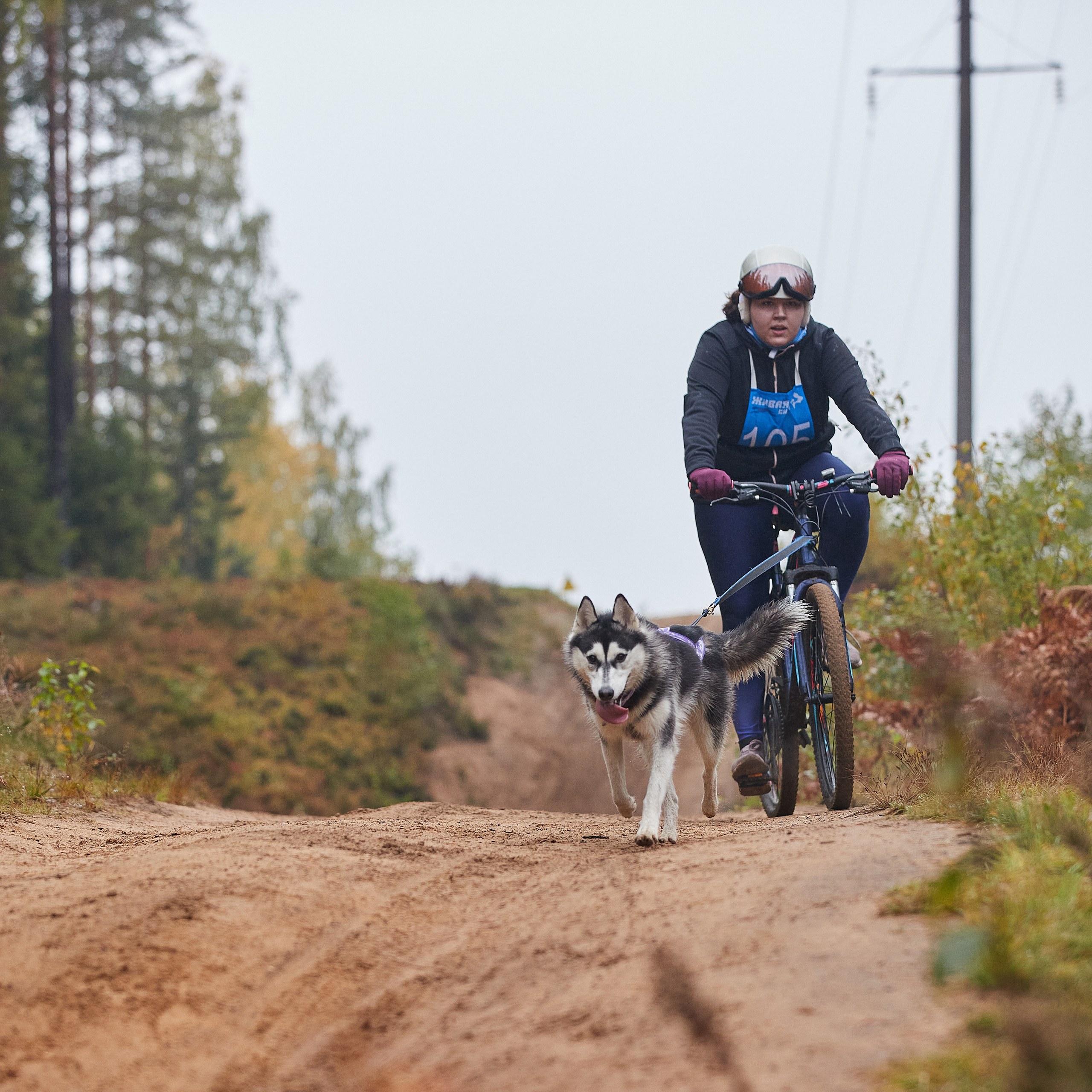 ЧЕМПИОНАТ РОССИИ РКФ 25–26 сентября 2021 г. ФОТОГРАФ-АНИМАЛИСТ l LANA POLYAKOVA