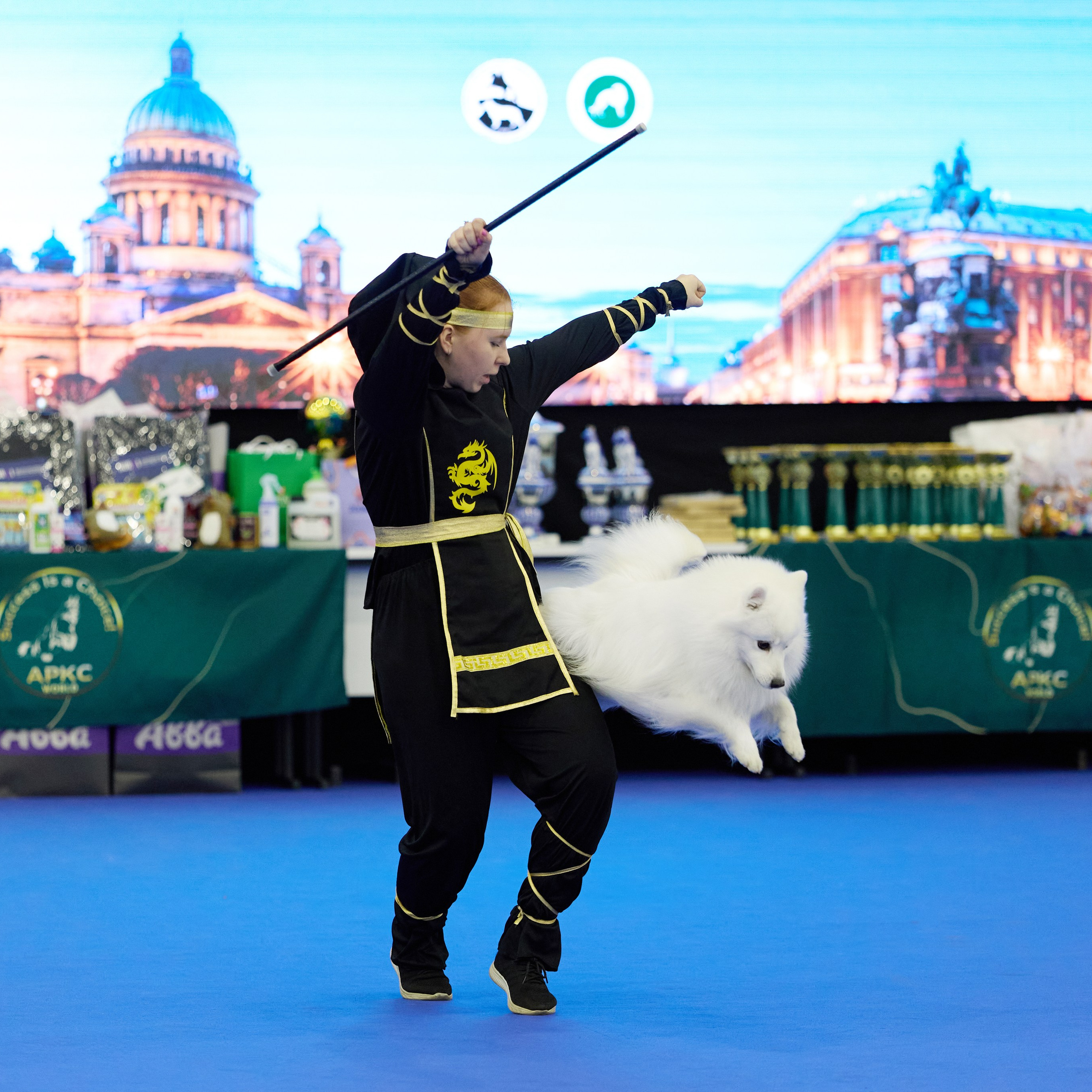 ВЫСТАВКА СОБАК С ОСОБЫМ СТАТУСОМ «НЕВСКИЙ ПОБЕДИТЕЛЬ» 12-13-14.12.2025. ФОТОГРАФ-АНИМАЛИСТ l LANA POLYAKOVA