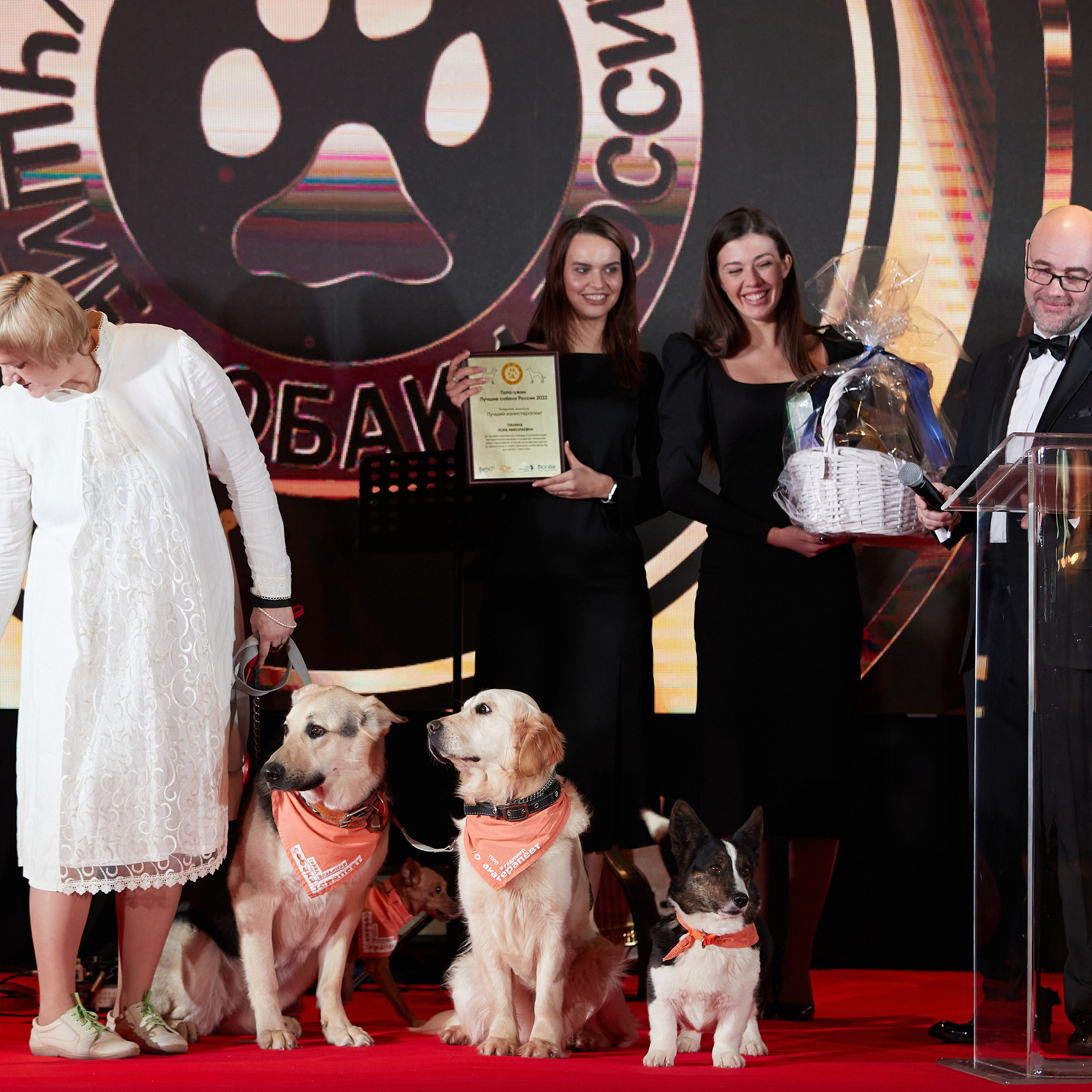 Репортаж с церемонии «BEST RUSSIAN DOG 2022». ФОТОГРАФ-АНИМАЛИСТ l LANA POLYAKOVA